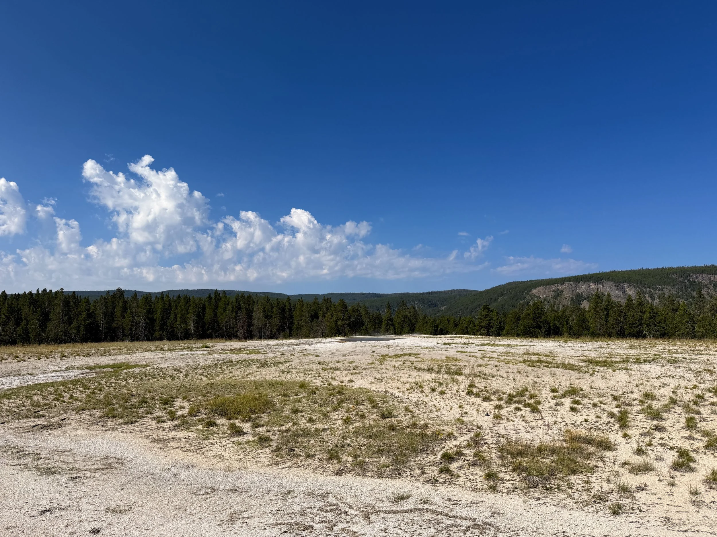 Orange Spring Yellowstone National Park Wyoming