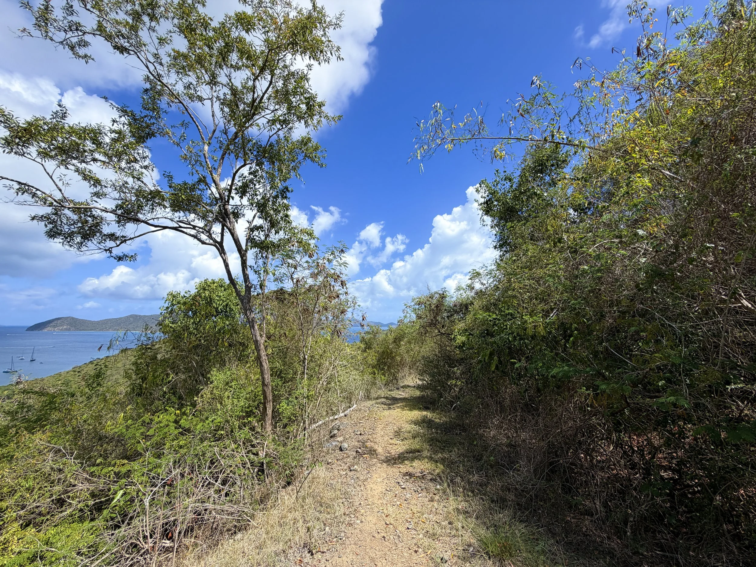 Johnny Horn Hike Virgin Islands National Park
