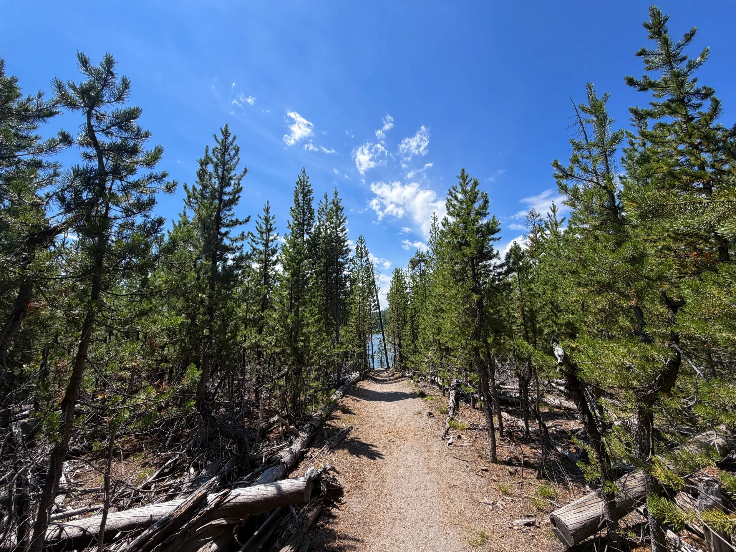 Duck Lake Trail Yellowstone National Park Wyoming