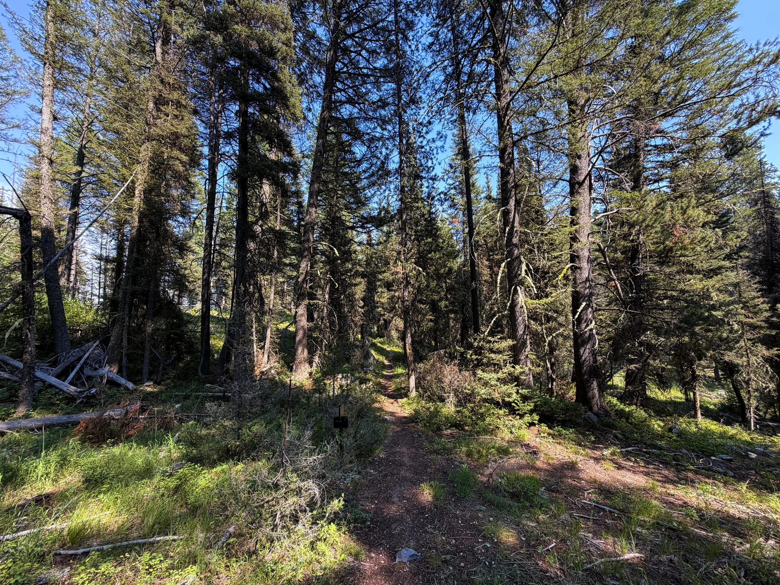 Boulder Field Trail Grand Teton National Park Wyoming