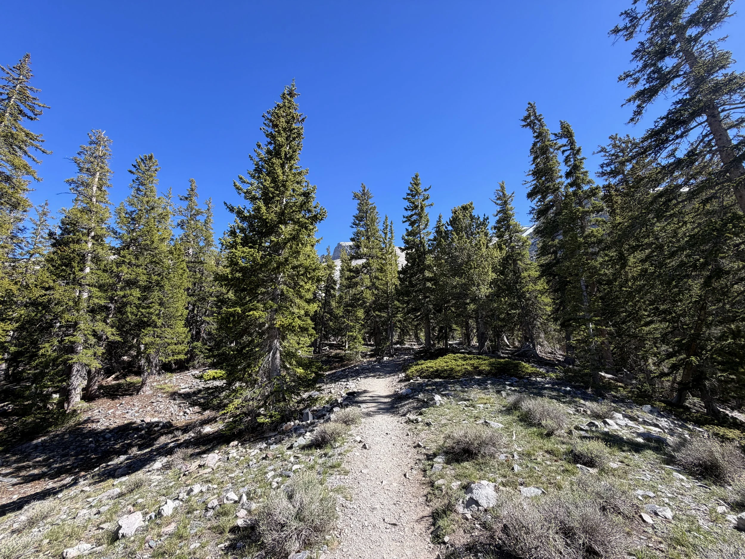 Alpine Lakes Loop Trail Great Basin National Park Nevada