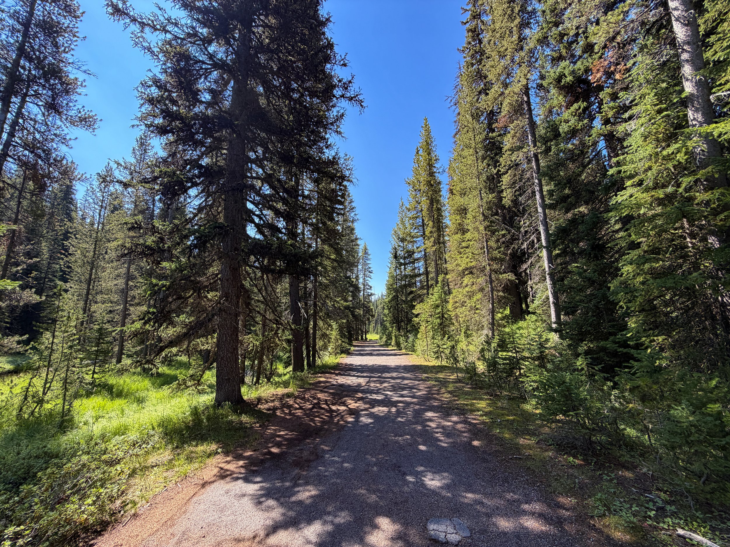 Lone Star Geyser Hike Yellowstone National Park Wyoming