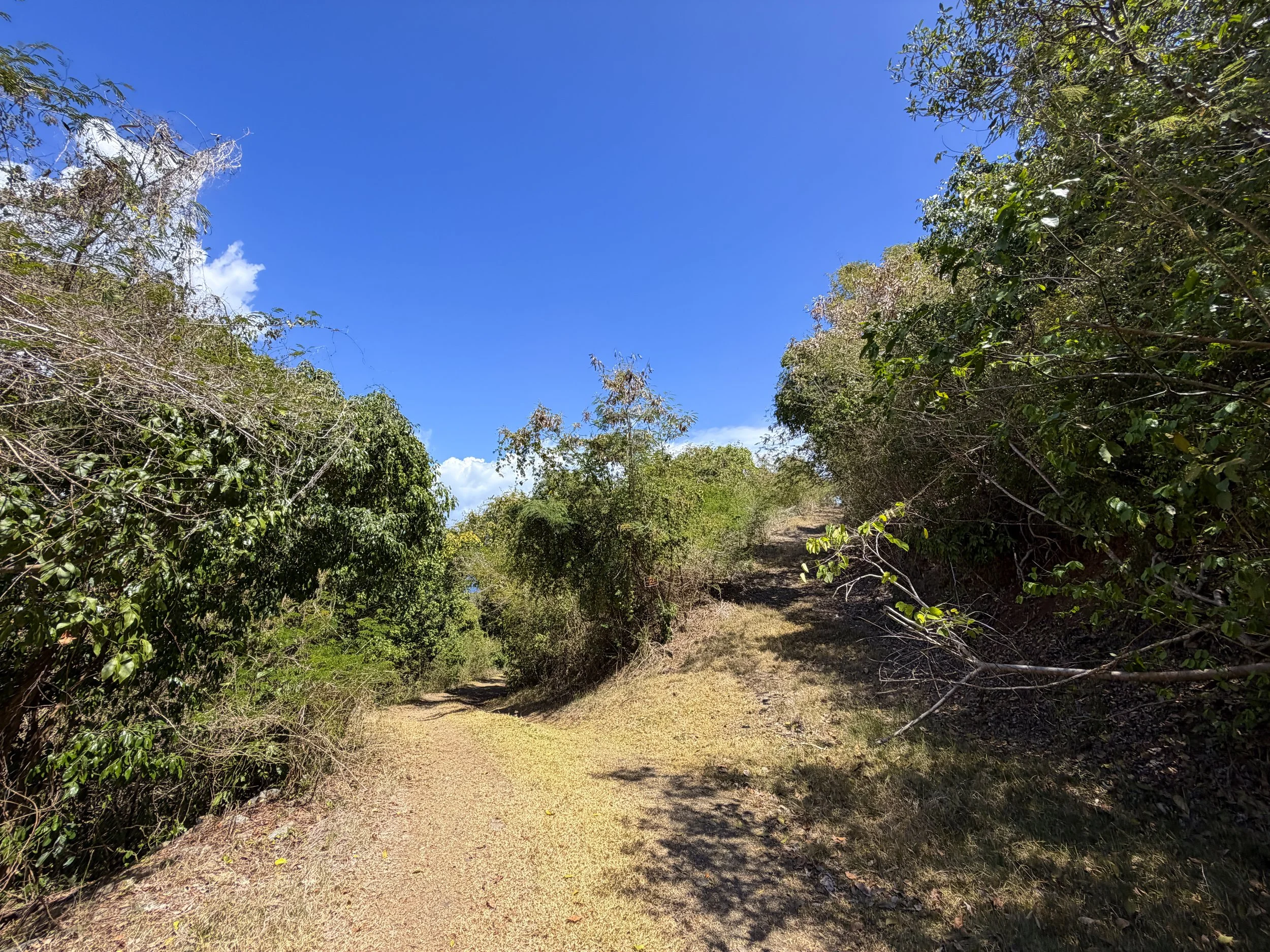 Johnny Horn Trail Virgin Islands National Park
