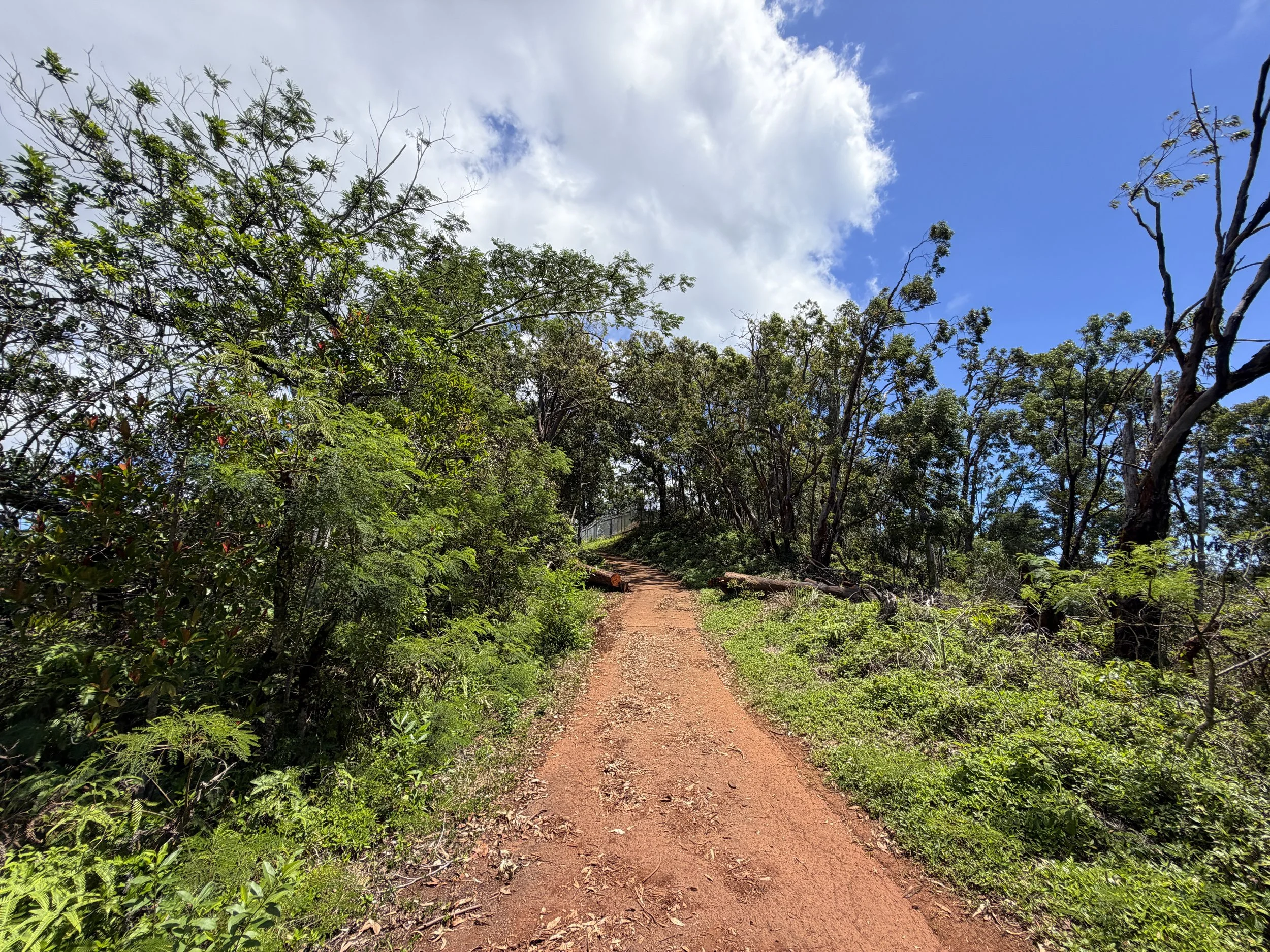 Manana Ridge Trail to Waimano Pools Oahu Hawaii
