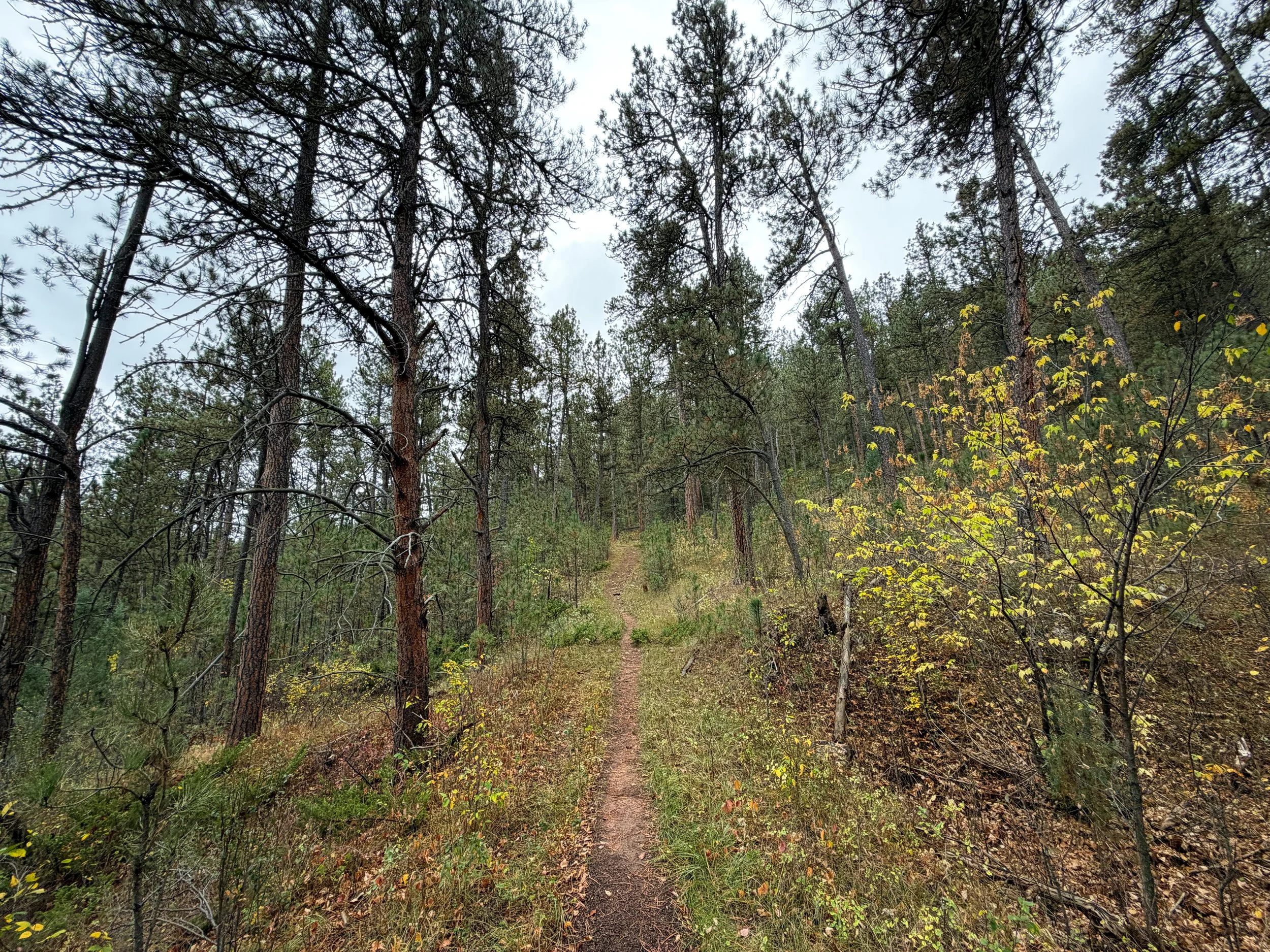 Highland Creek Trail to Lookout Point Loop Wind Cave National Park South Dakota