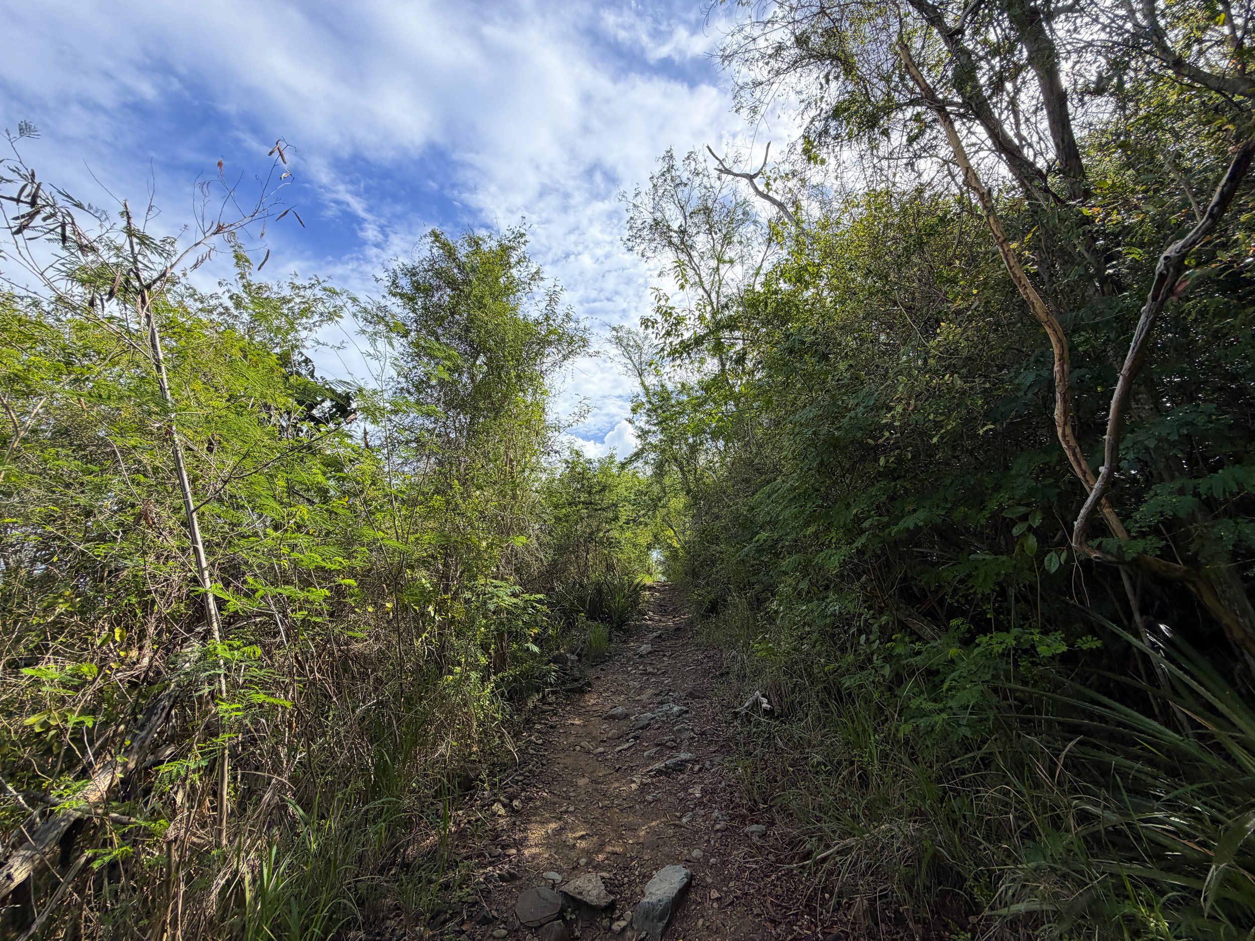 Lind Point Loop Trail Virgin Islands National Park