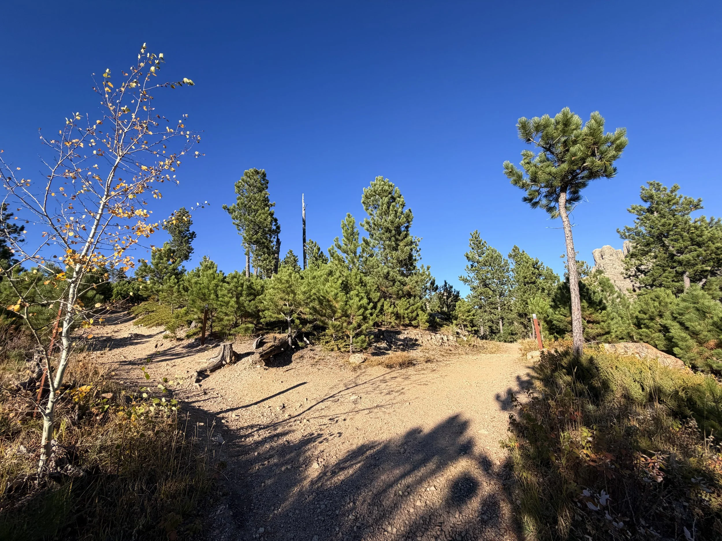 Little Devils Tower Hike Custer State Park Black Hills South Dakota