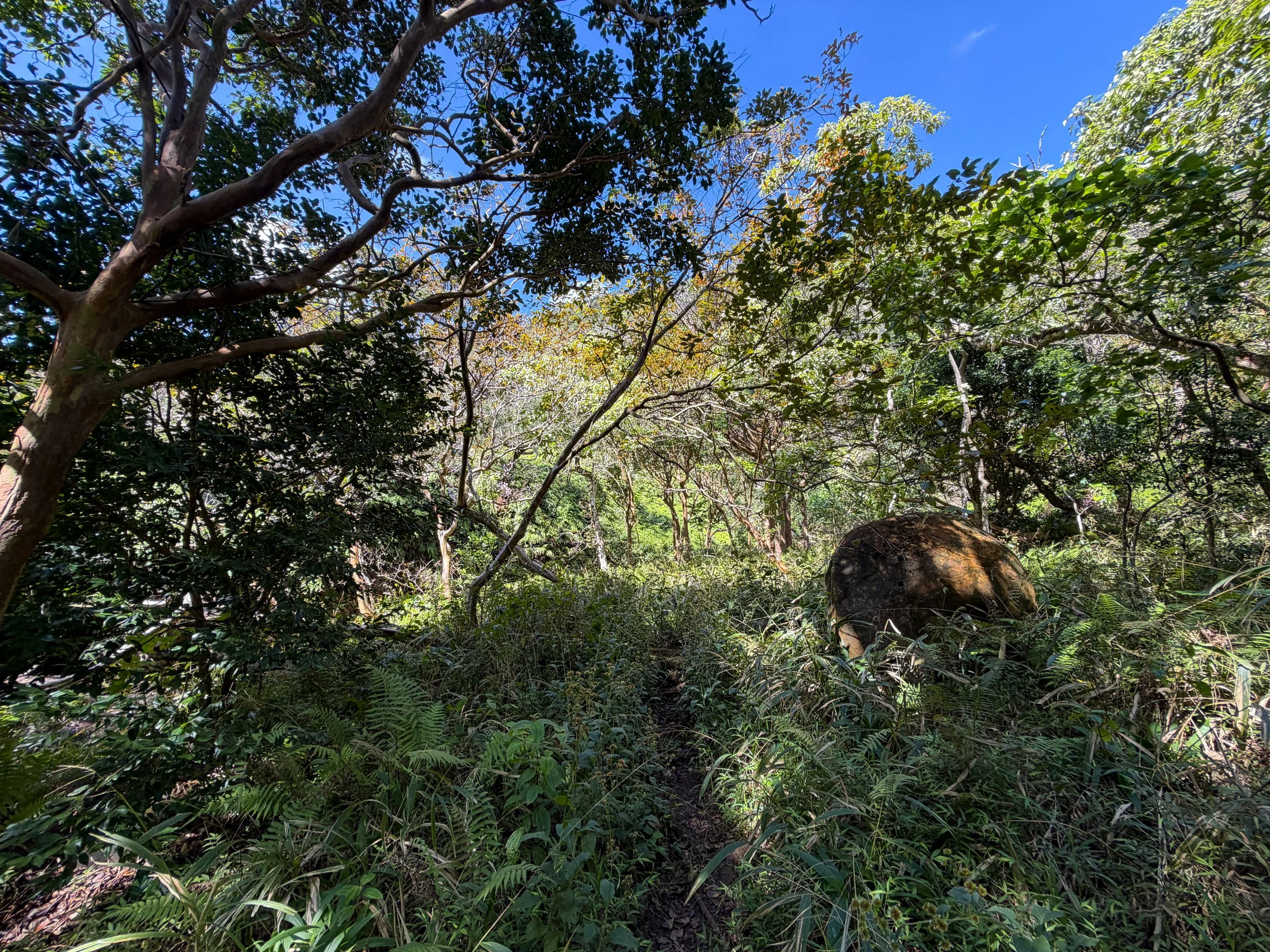Kulanaahane Trail Oahu Hawaii
