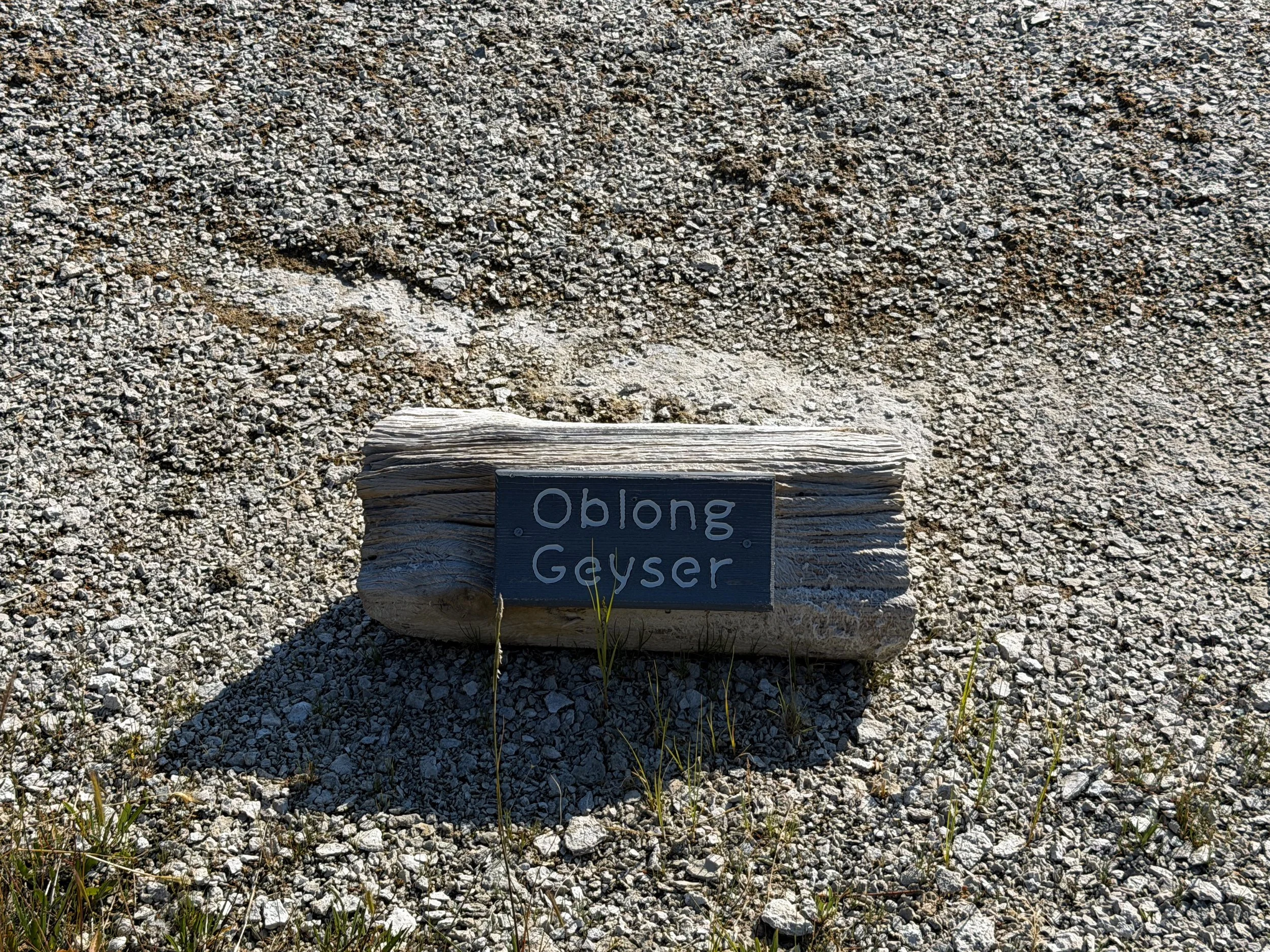 Oblong Geyser Yellowstone National Park Wyoming