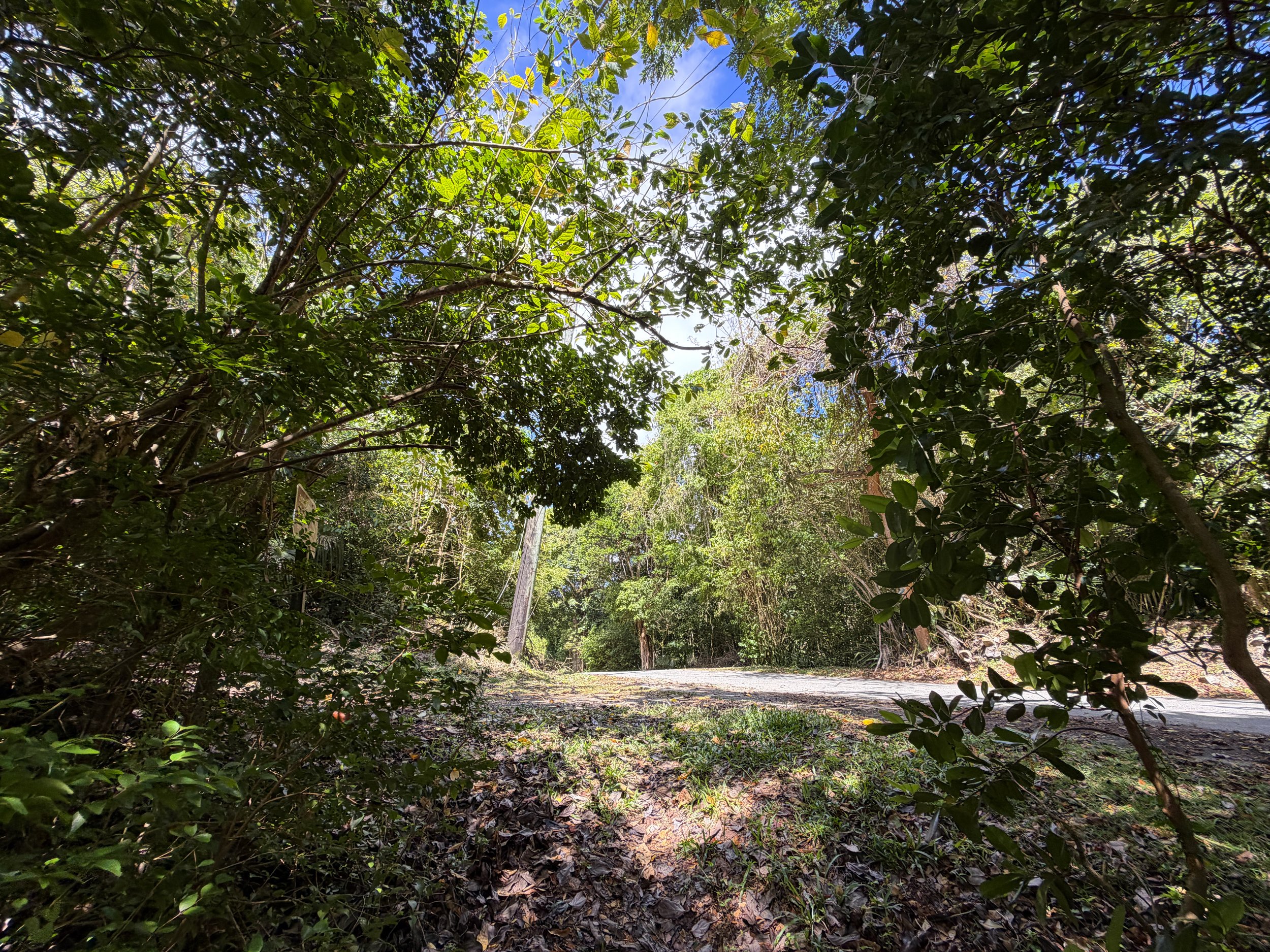 Upper Bordeaux Mountain Trailhead Virgin Islands National Park