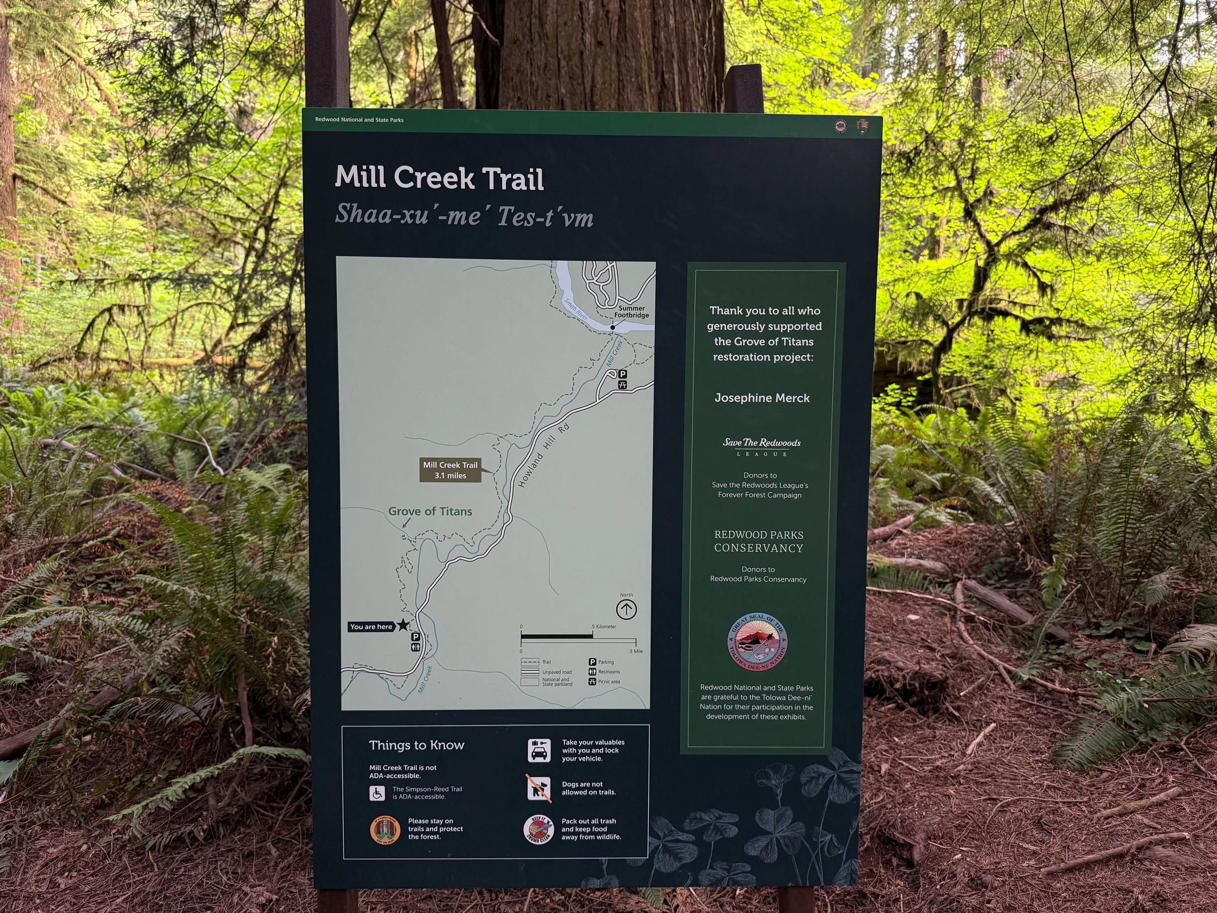 Grove of the Titans Trail Jedediah Smith Redwoods State Park California