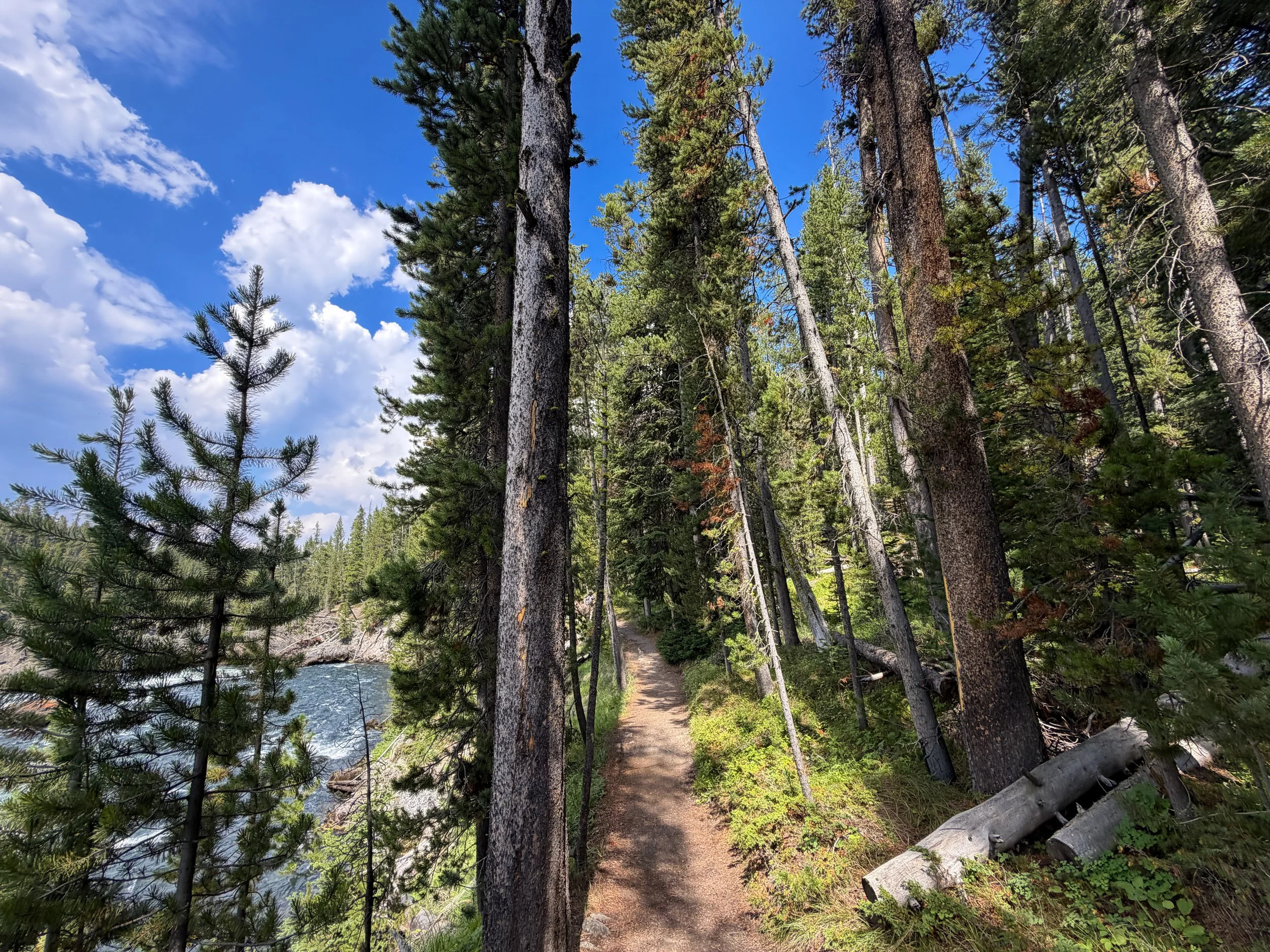 South Rim Trail Yellowstone National Park Wyoming