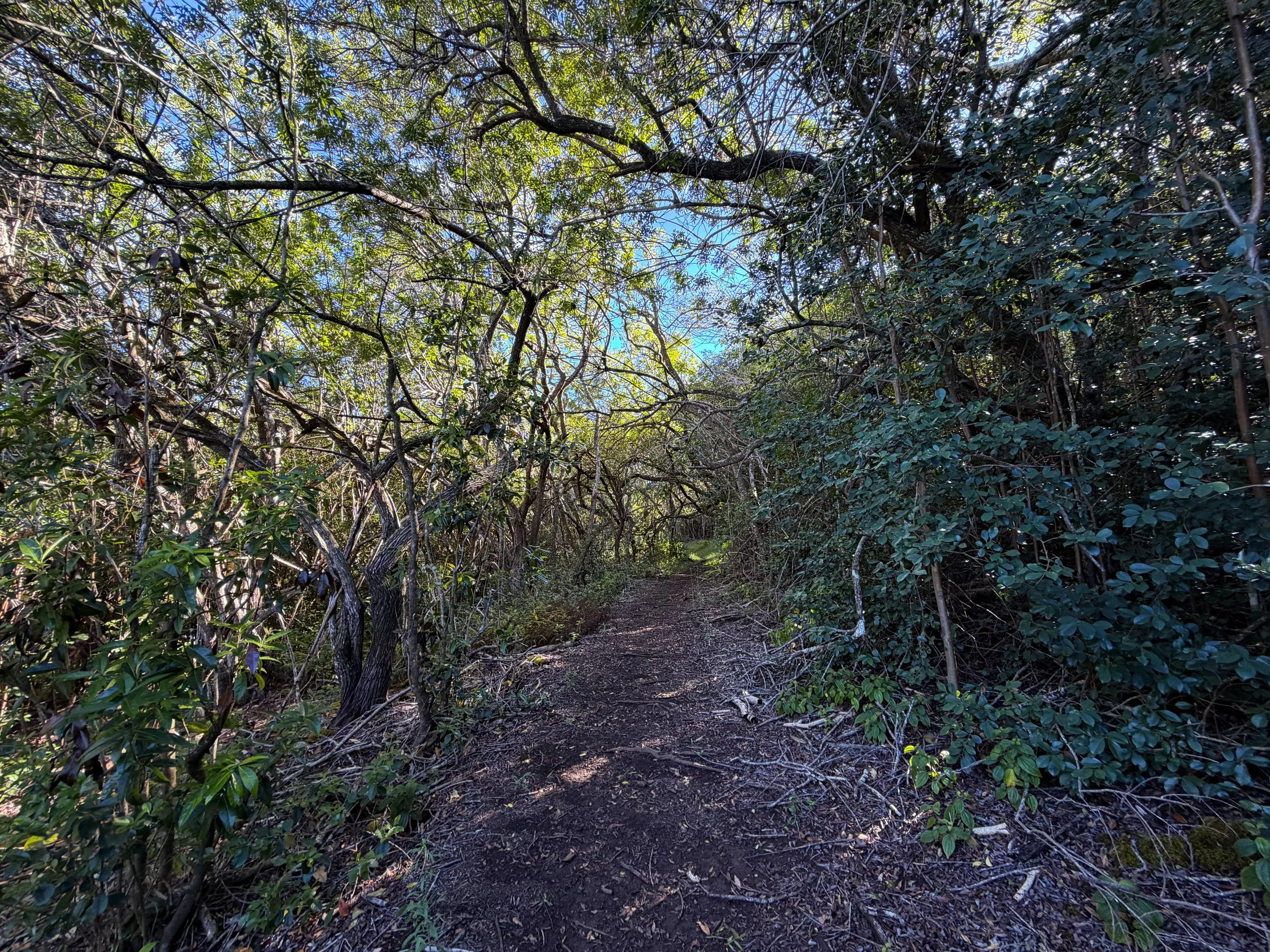 Mokuleia Trail Oahu Hawaii