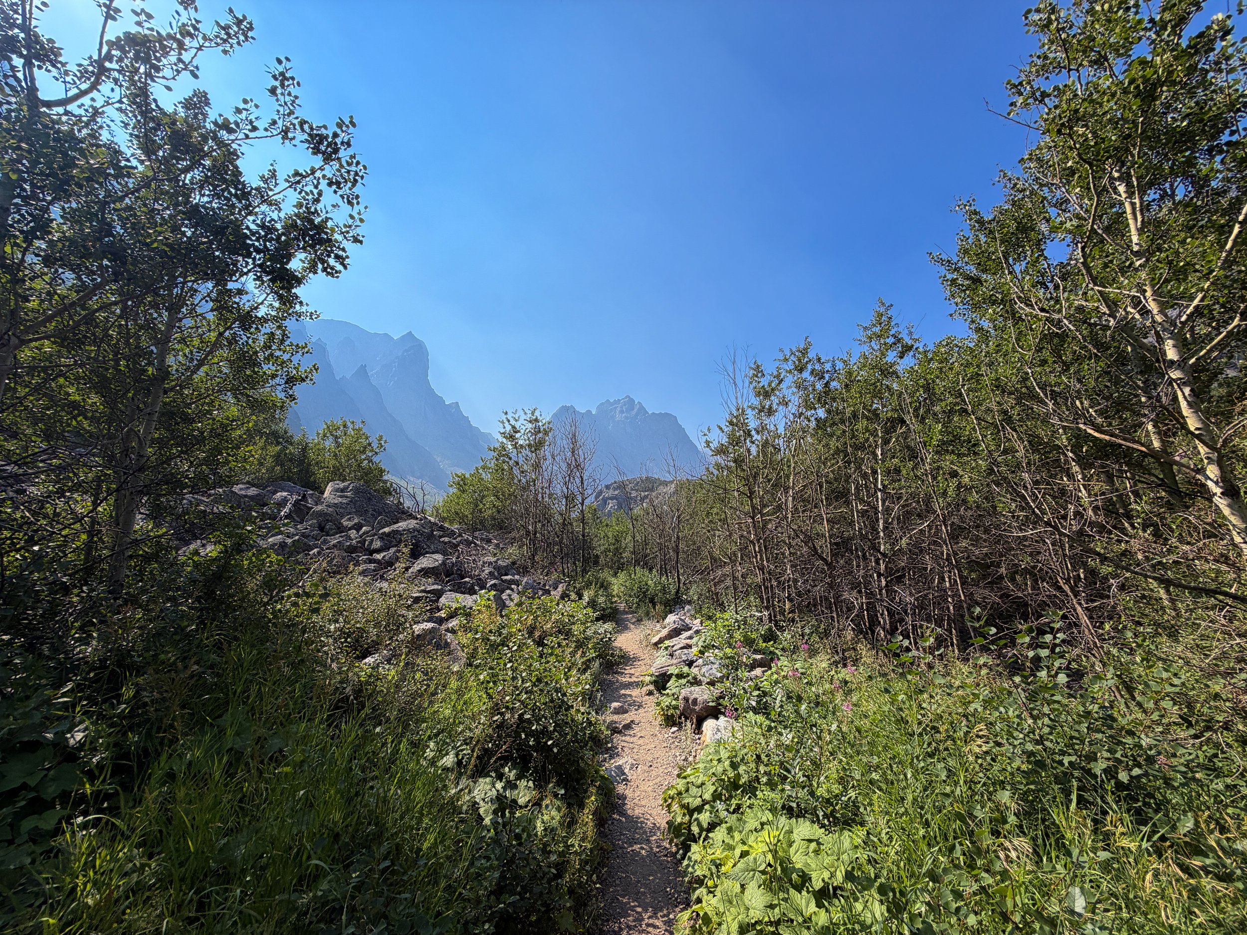 Beaten Path Trail Beartooth Mountains Montana