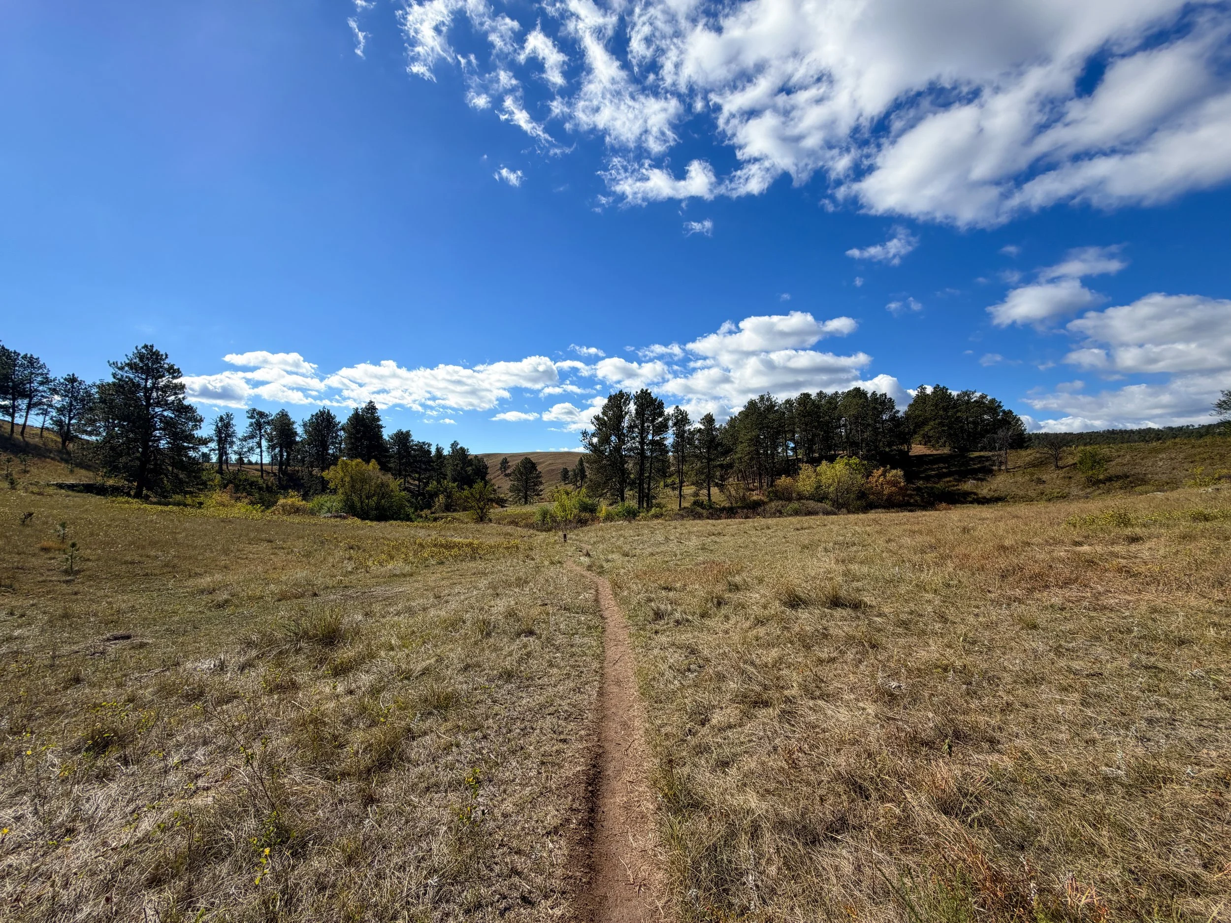 Lookout Point Loop Trail Wind Cave National Park South Dakota