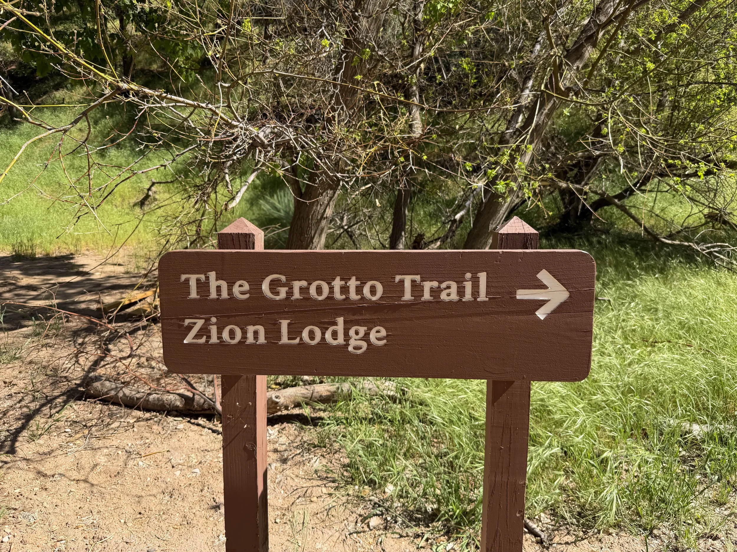 Grotto Hike Zion National Park Utah