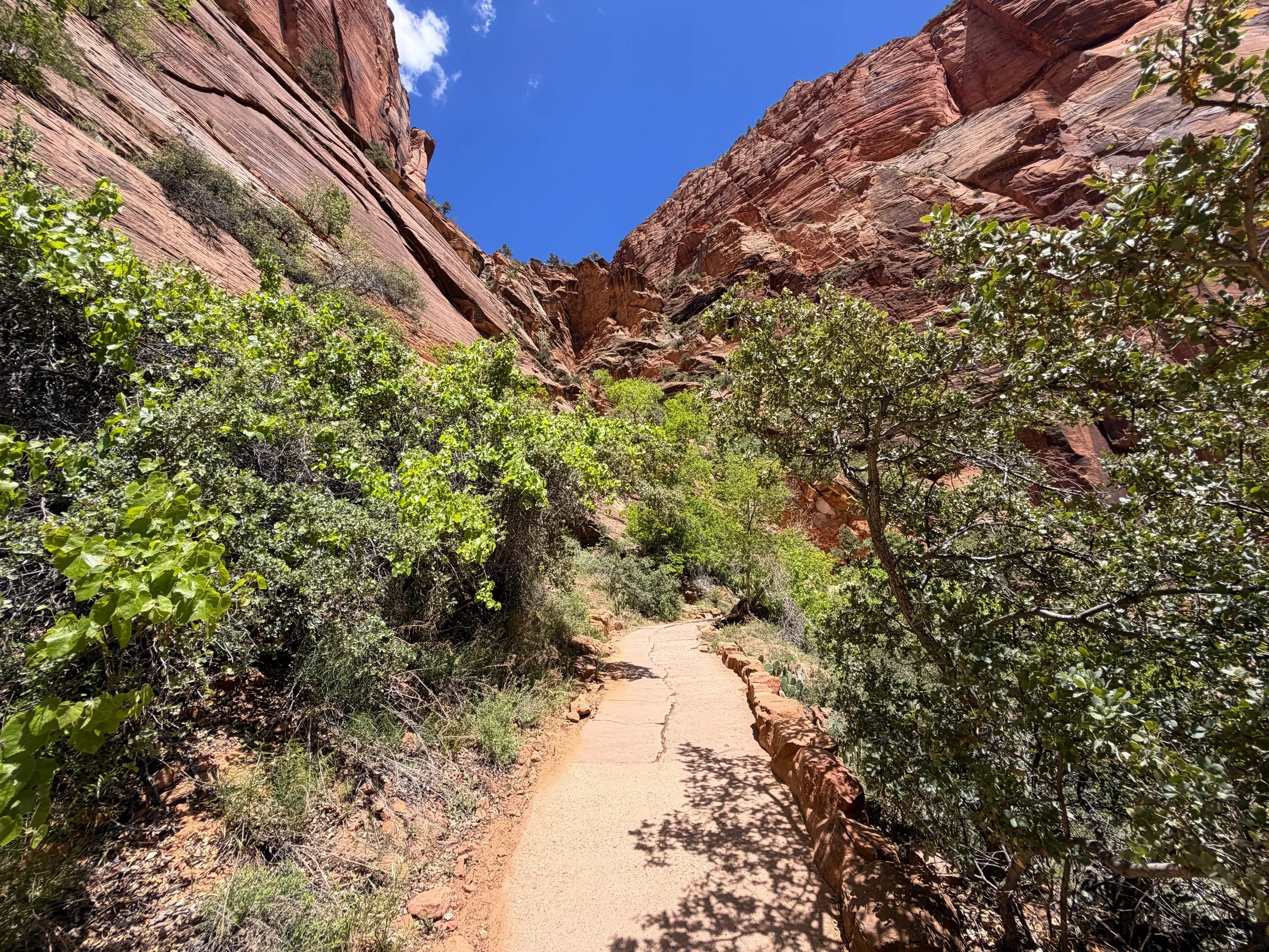 Angels Landing Trail Zion National Park Utah