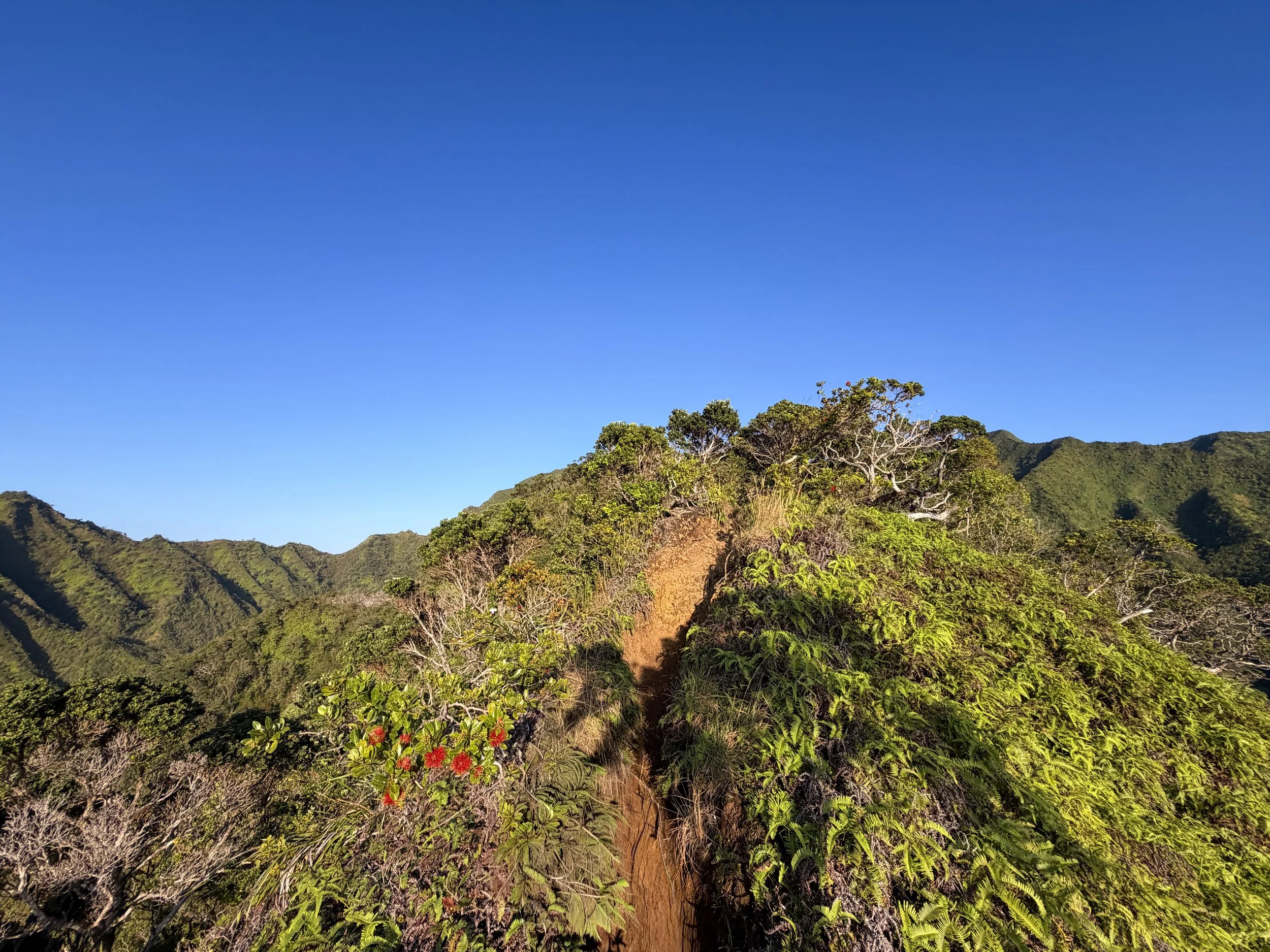 Back Way to Stairway to Heaven Moanalua Middle Ridge Hike Oahu Hawaii