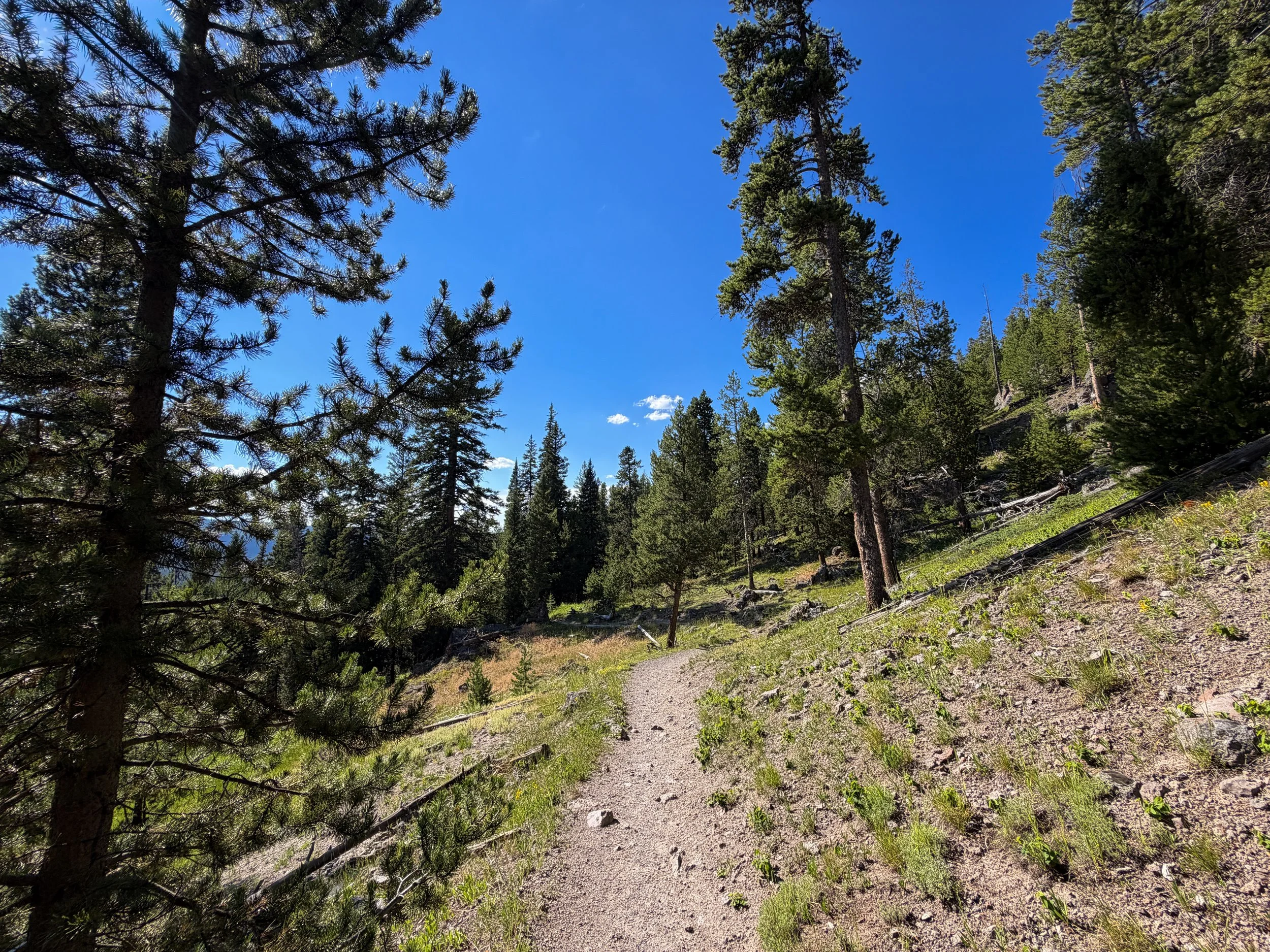 Observation Point Trail Yellowstone National Park Wyoming