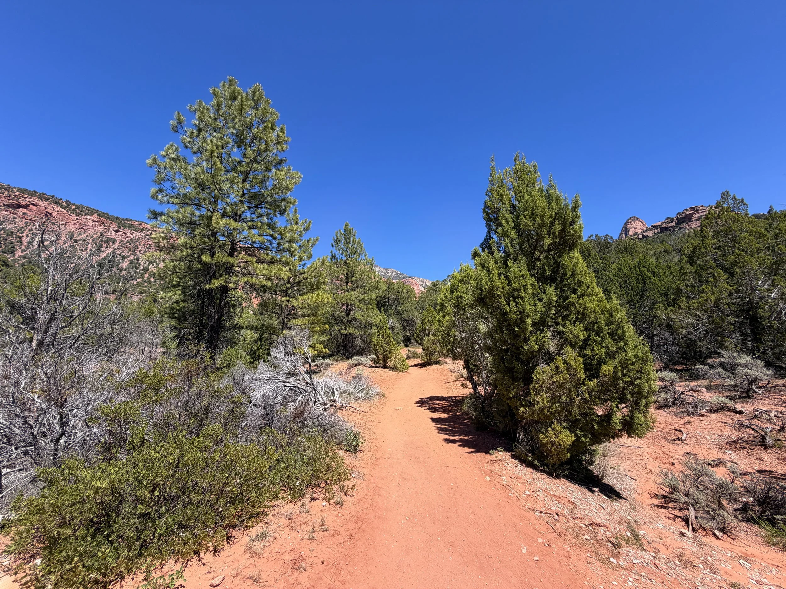 Taylor Creek Trail Zion National Park Utah