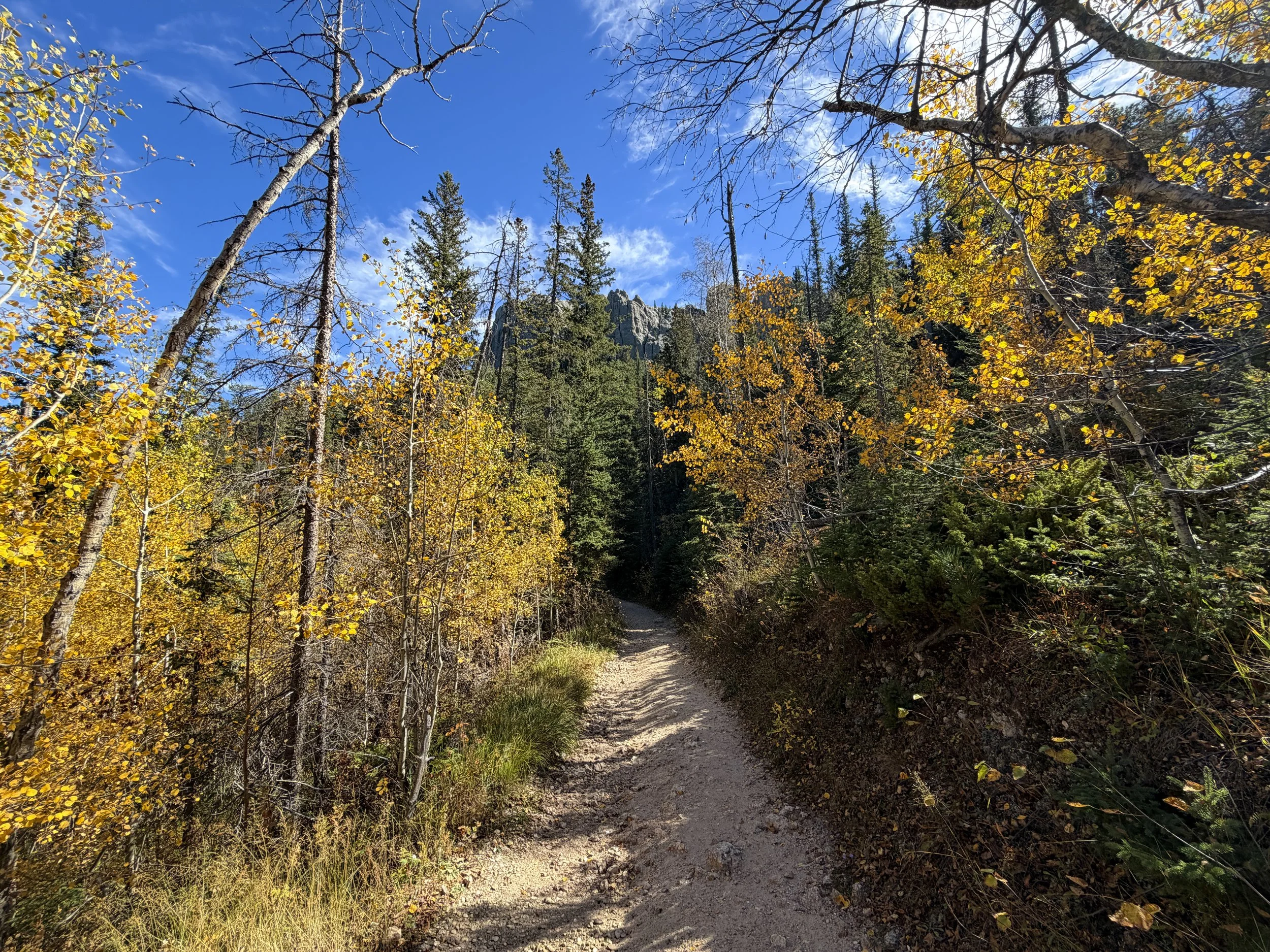 Black Elk Peak Trail Fall Colors Custer State Park Black Hills South Dakota
