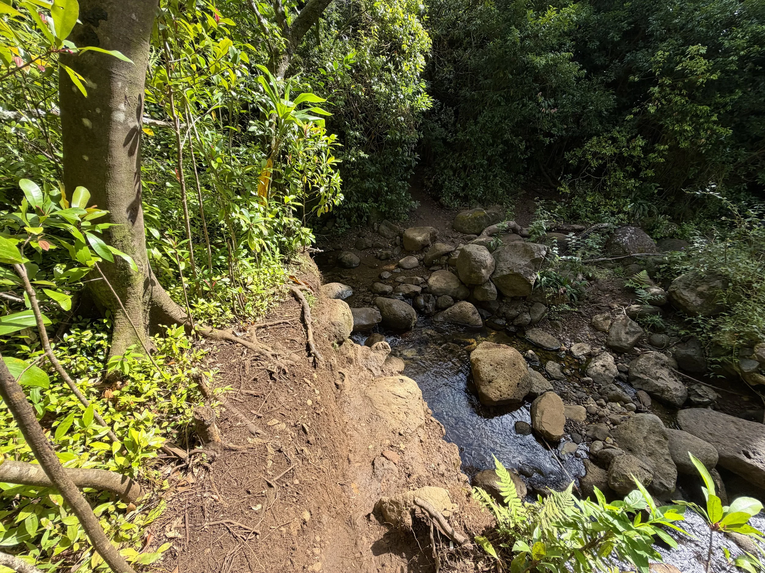 Lulumahu Falls Trail Oahu Hawaii