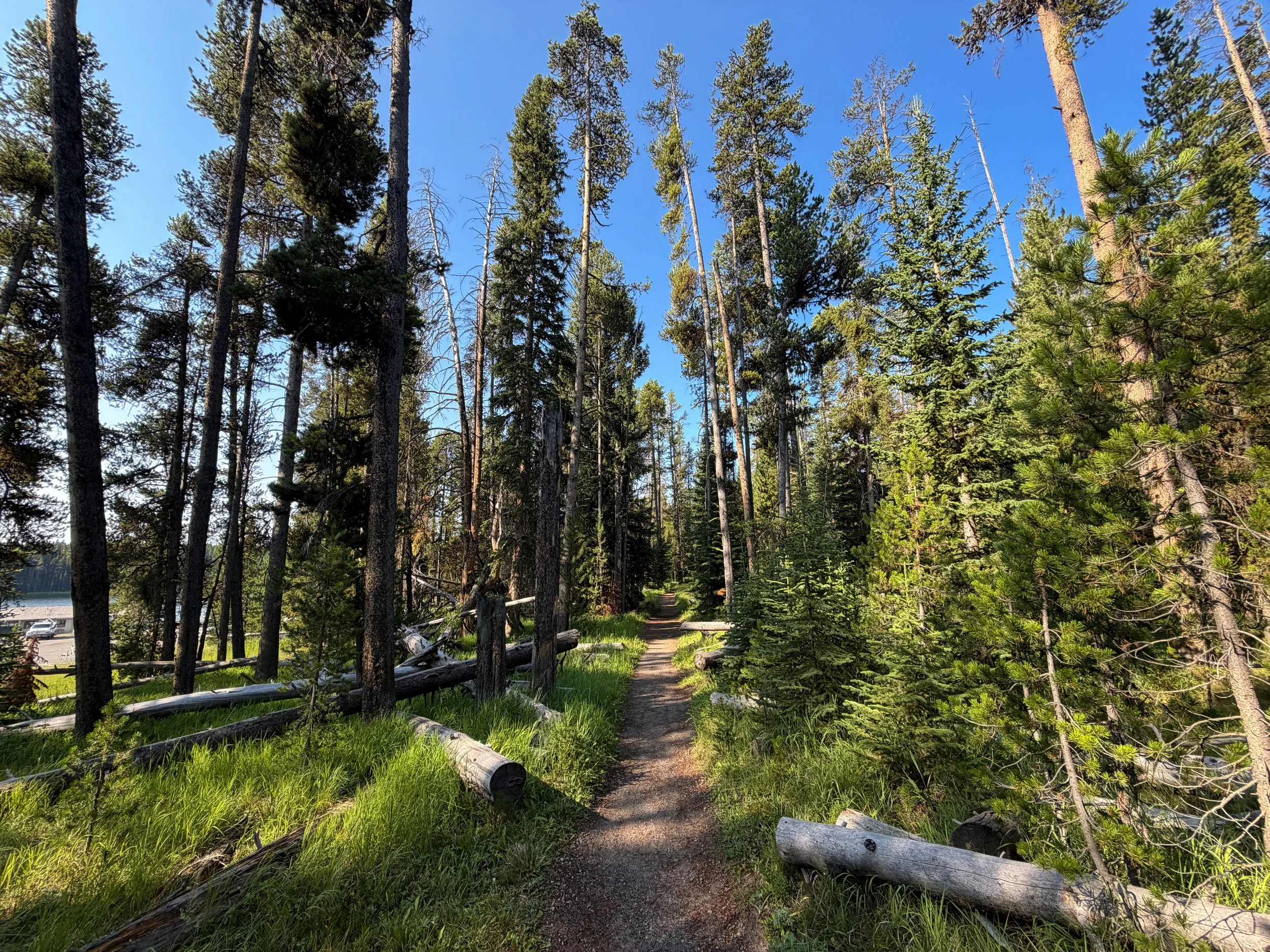 Natural Bridge Trail Yellowstone National Park Wyoming