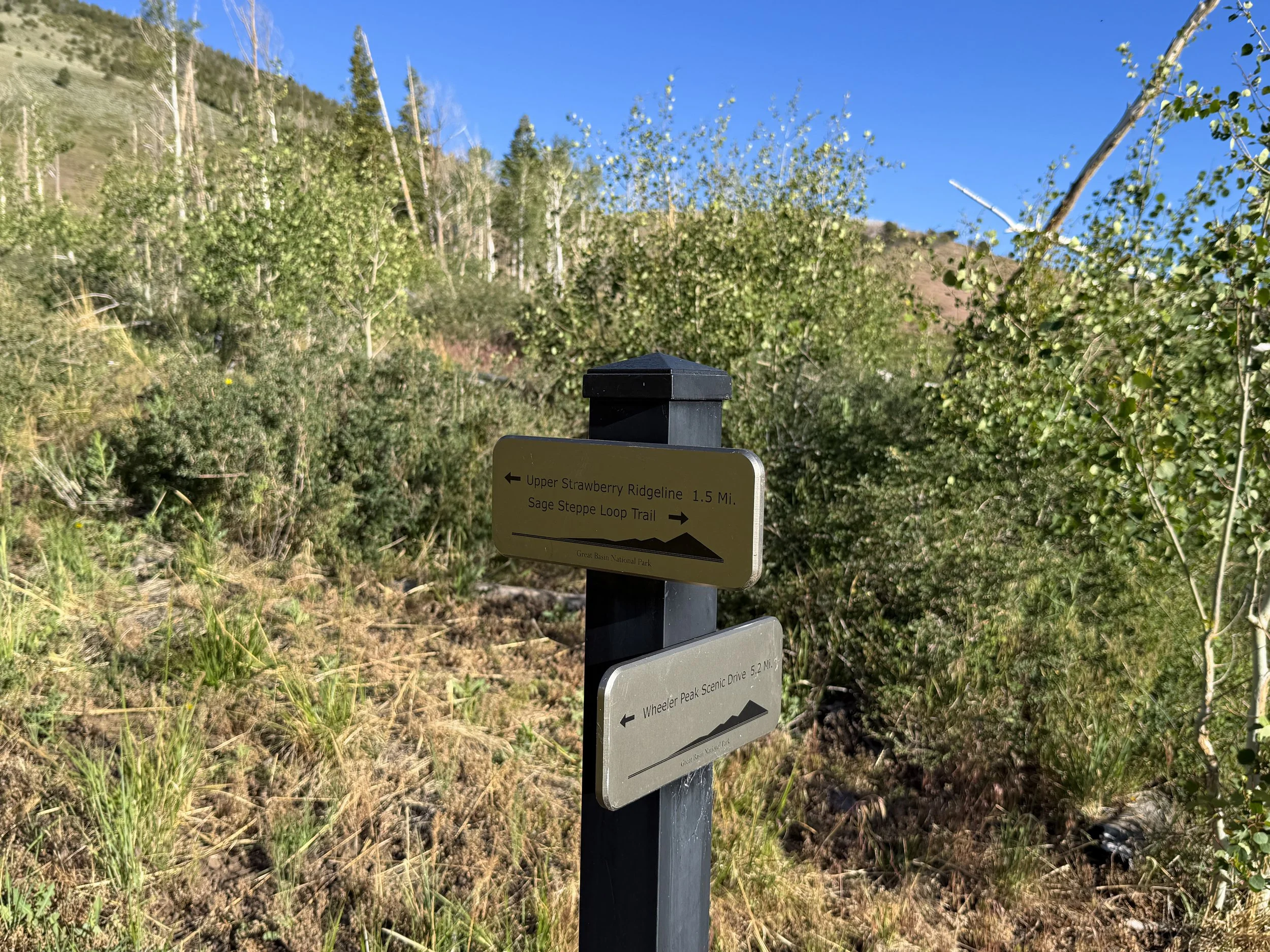 Upper Strawberry Trail Great Basin National Park Nevada