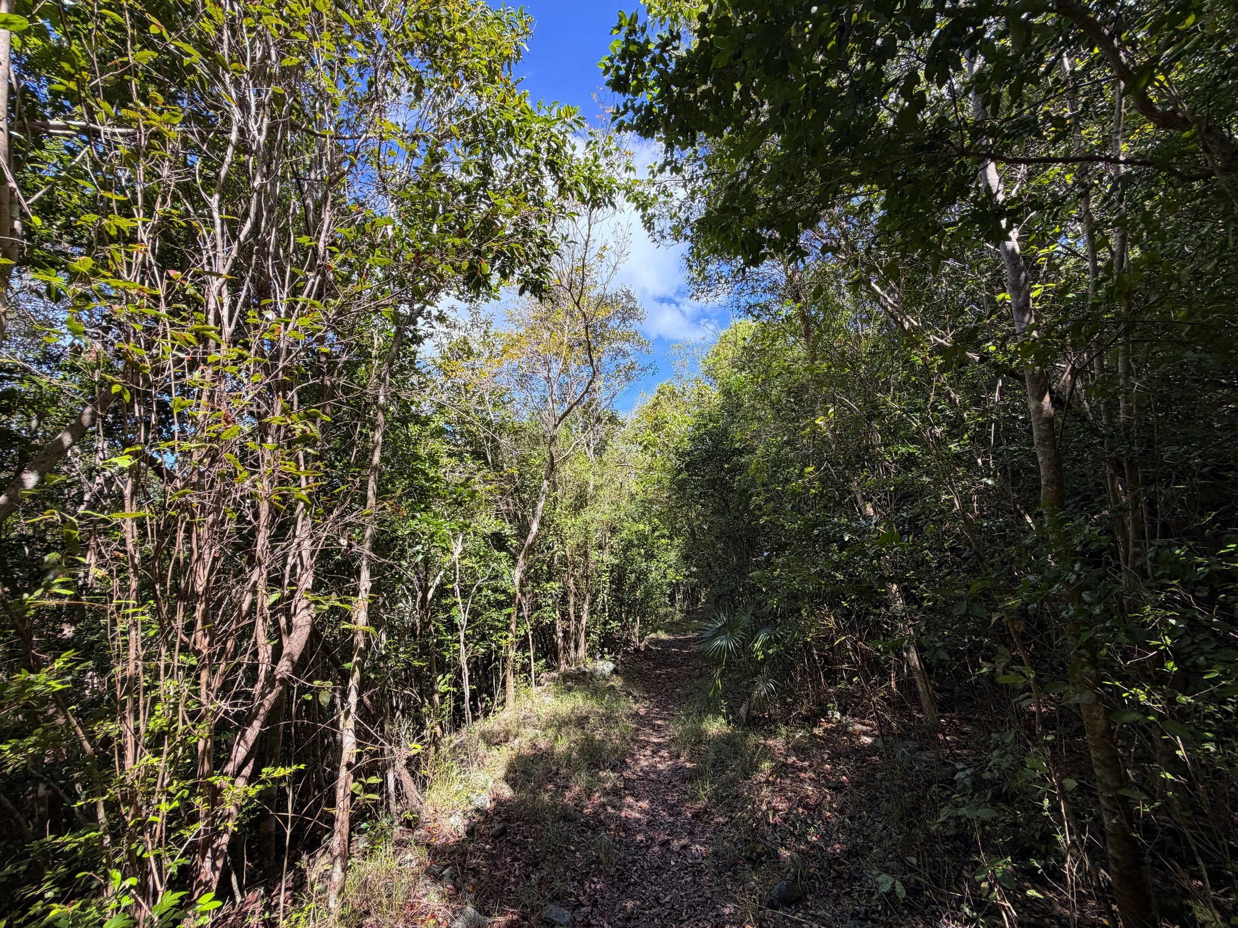 Water Catchment Hike Virgin Islands National Park