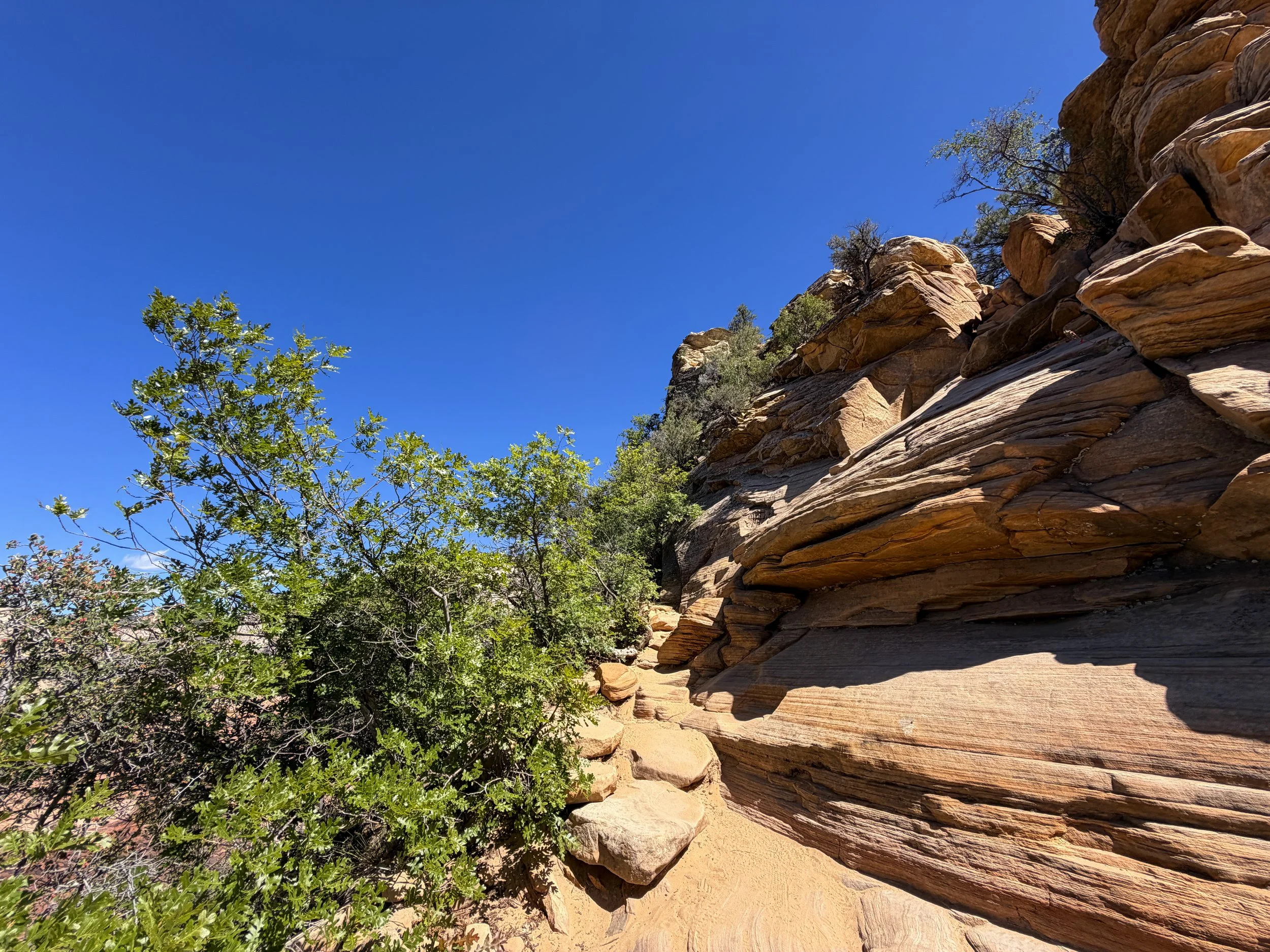 Angels Landing Trail Chains Zion National Park Utah