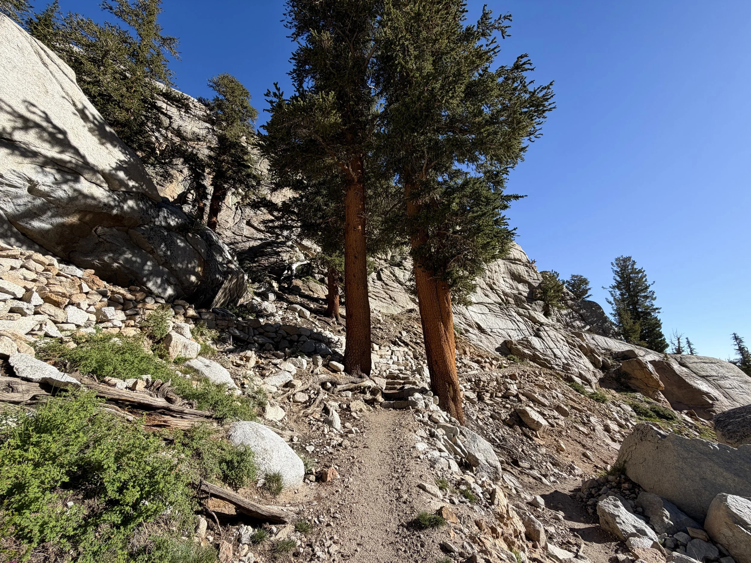 Mt. Whitney Trail California