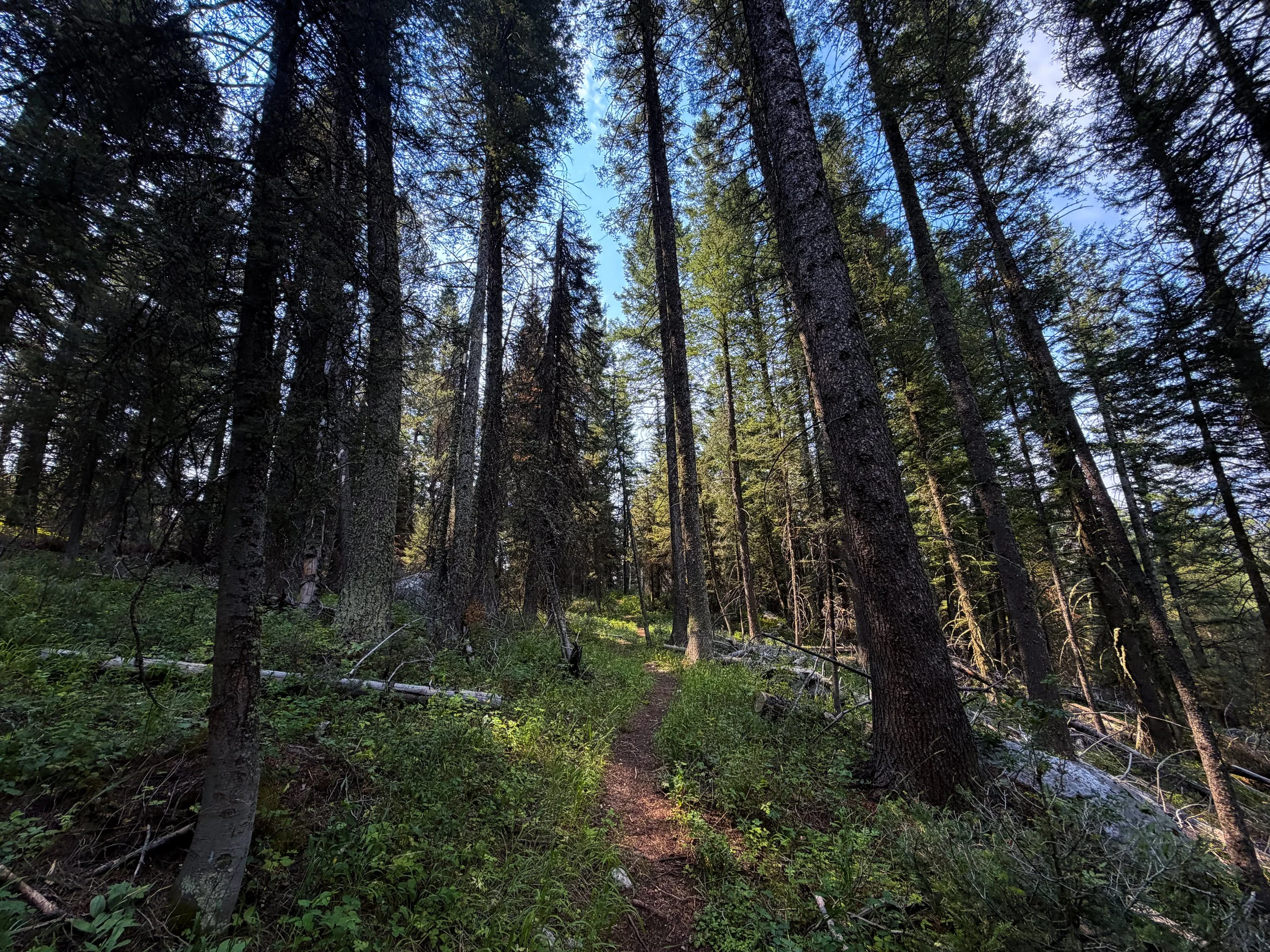 Boulder Ridge Loop Trail Grand Teton National Park Wyoming