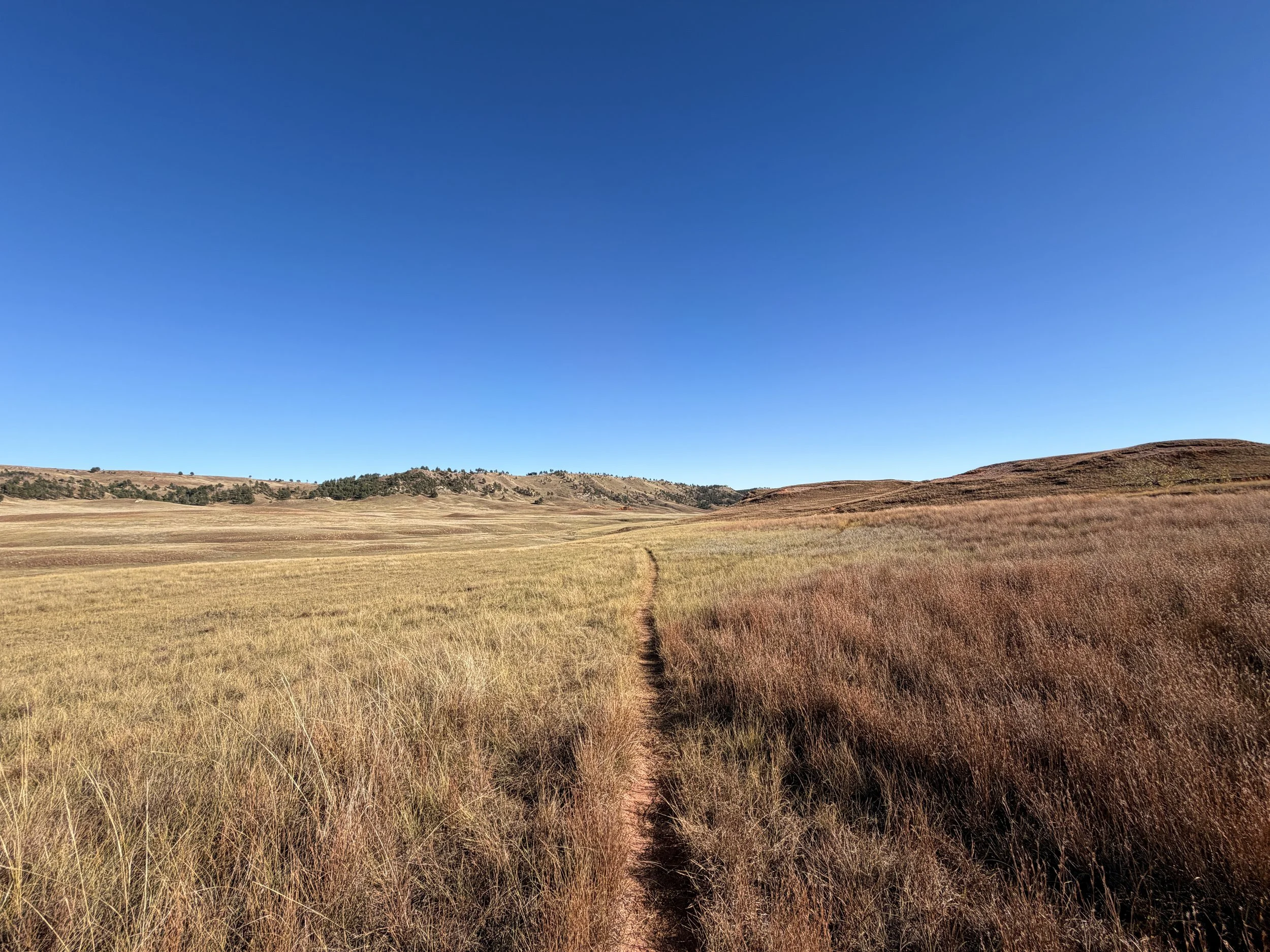 Boland Ridge Trail Wind Cave National Park South Dakota