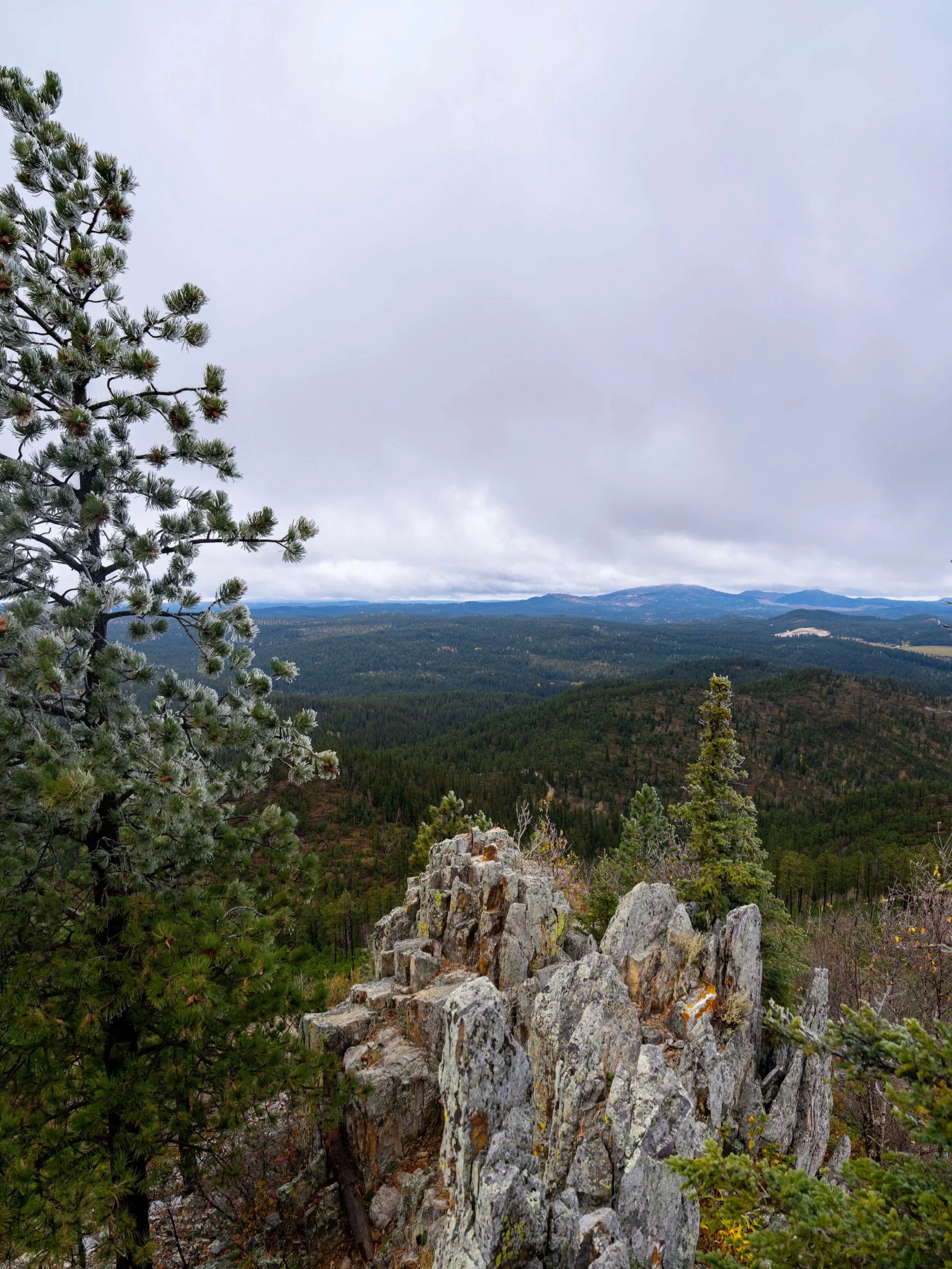 Custer Peak Trail Black Hills South Dakota