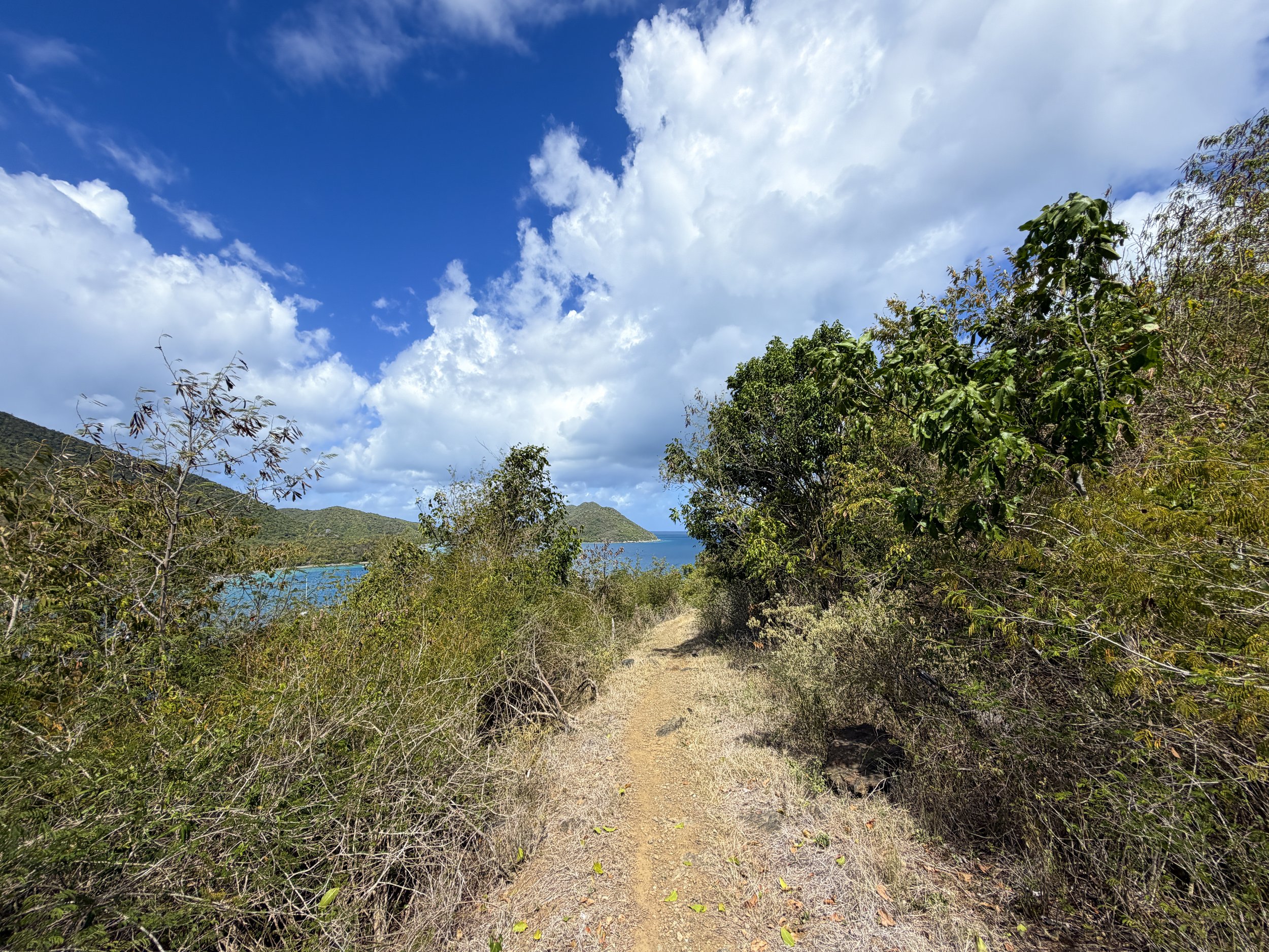 Johnny Horn Trail to Waterlemon Bay Virgin Islands National Park