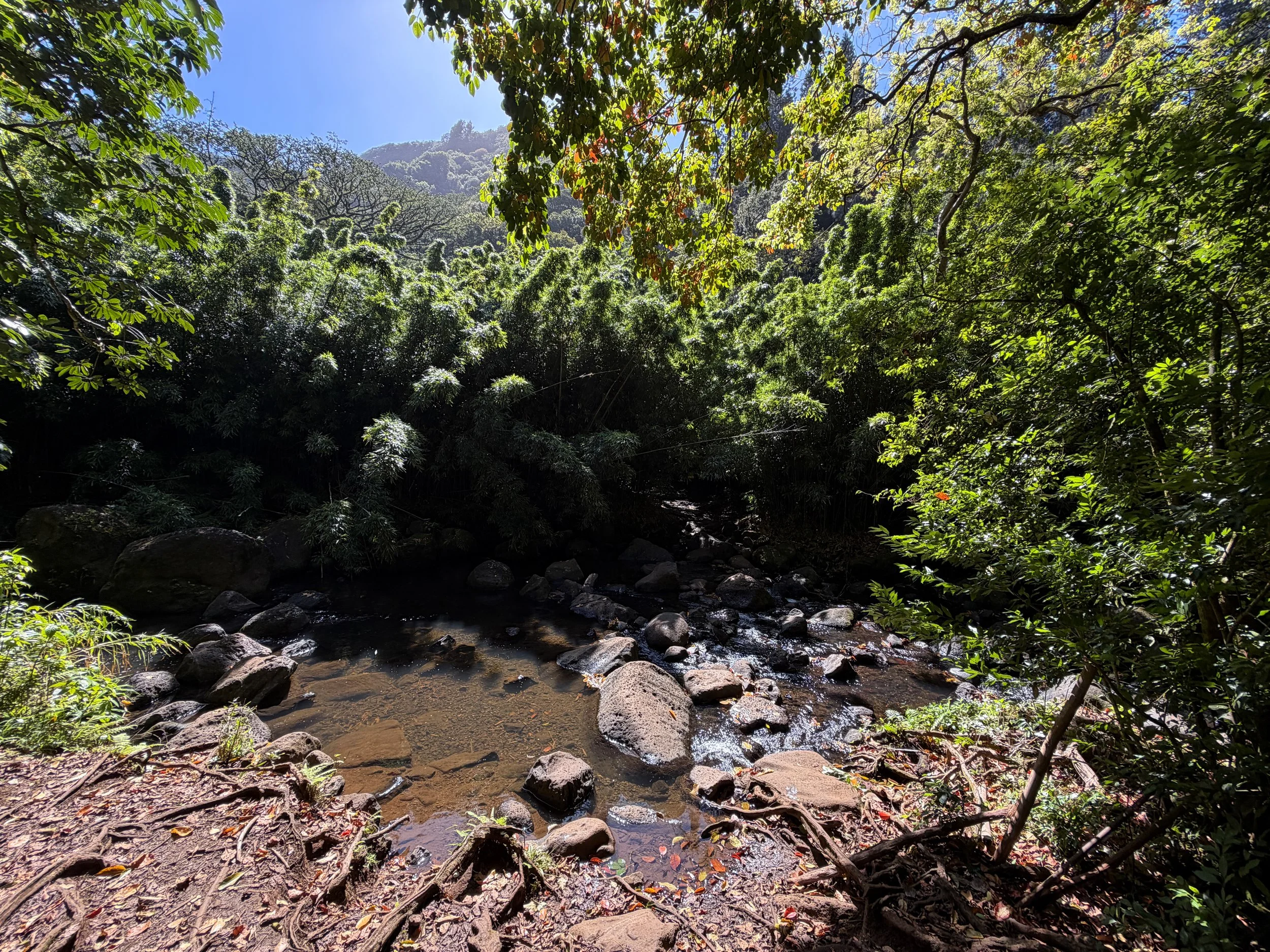 Nuuanu Stream Judd Trail Oahu Hawaii