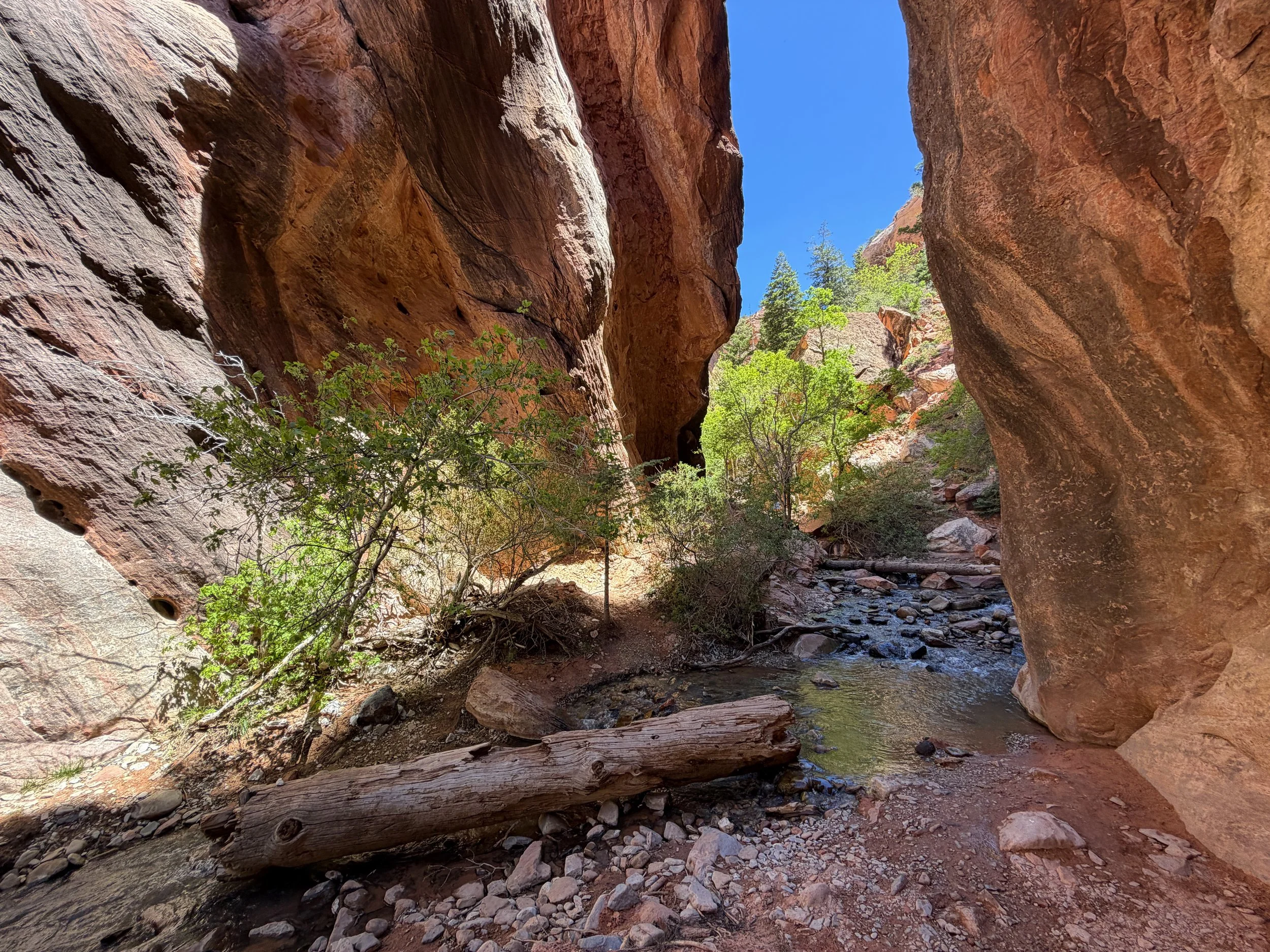 Kanarra Falls Hike Kanarraville Utah