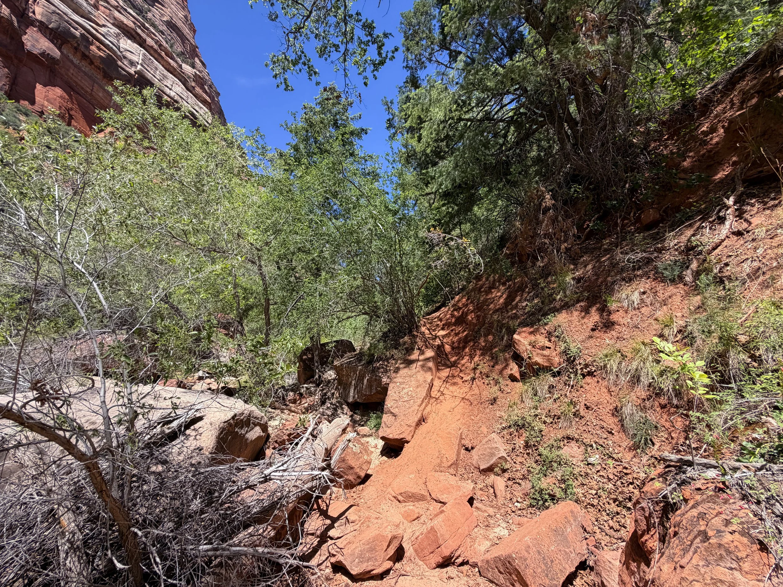 Subway Trail Zion National Park Utah