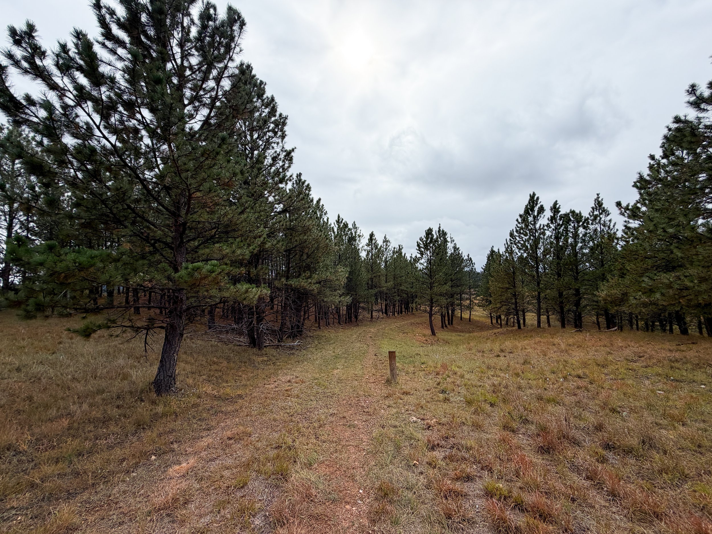 Highland Creek Trail to Wind Cave Canyon Wind Cave National Park South Dakota