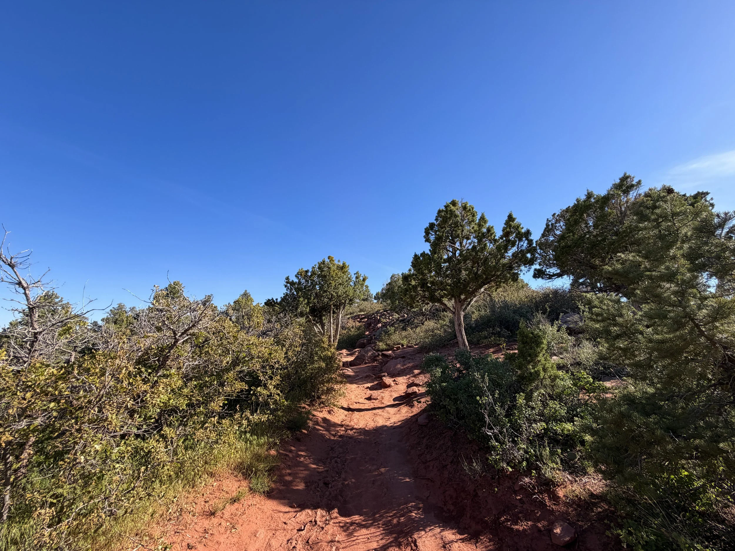 Timber Creek Overlook Trail Zion National Park Utah