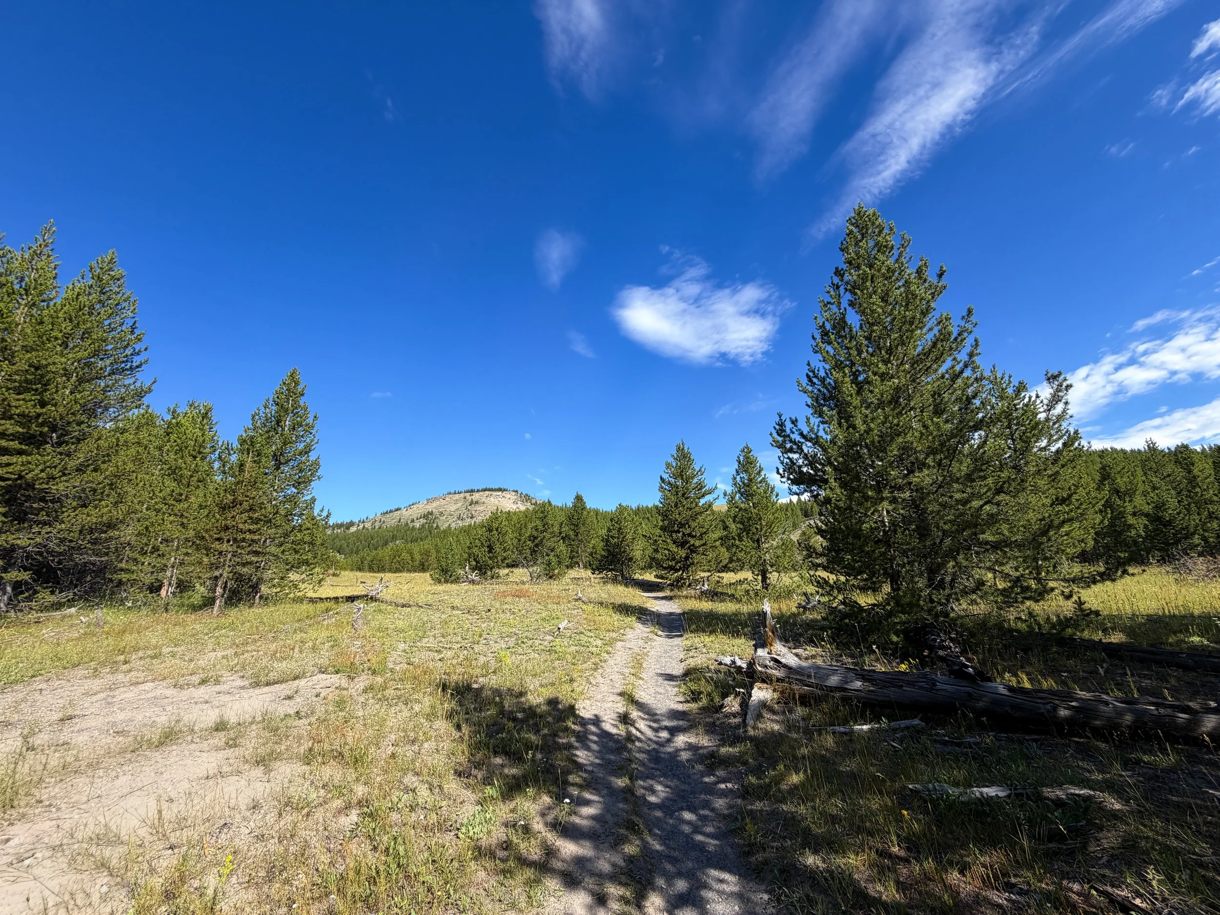 Imperial Geyser Trail Yellowstone National Park Wyoming