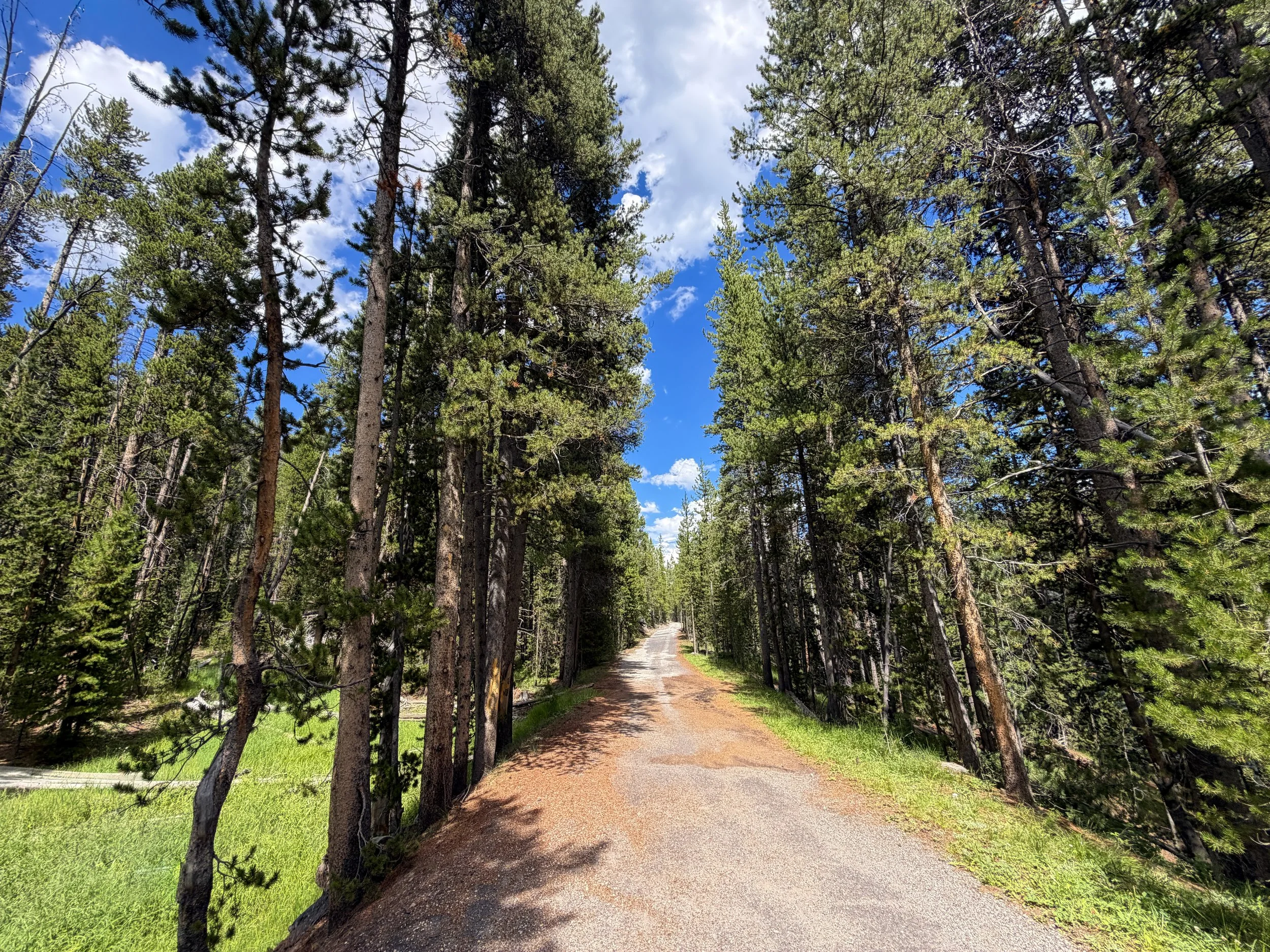 North Rim Trail Yellowstone National Park Wyoming