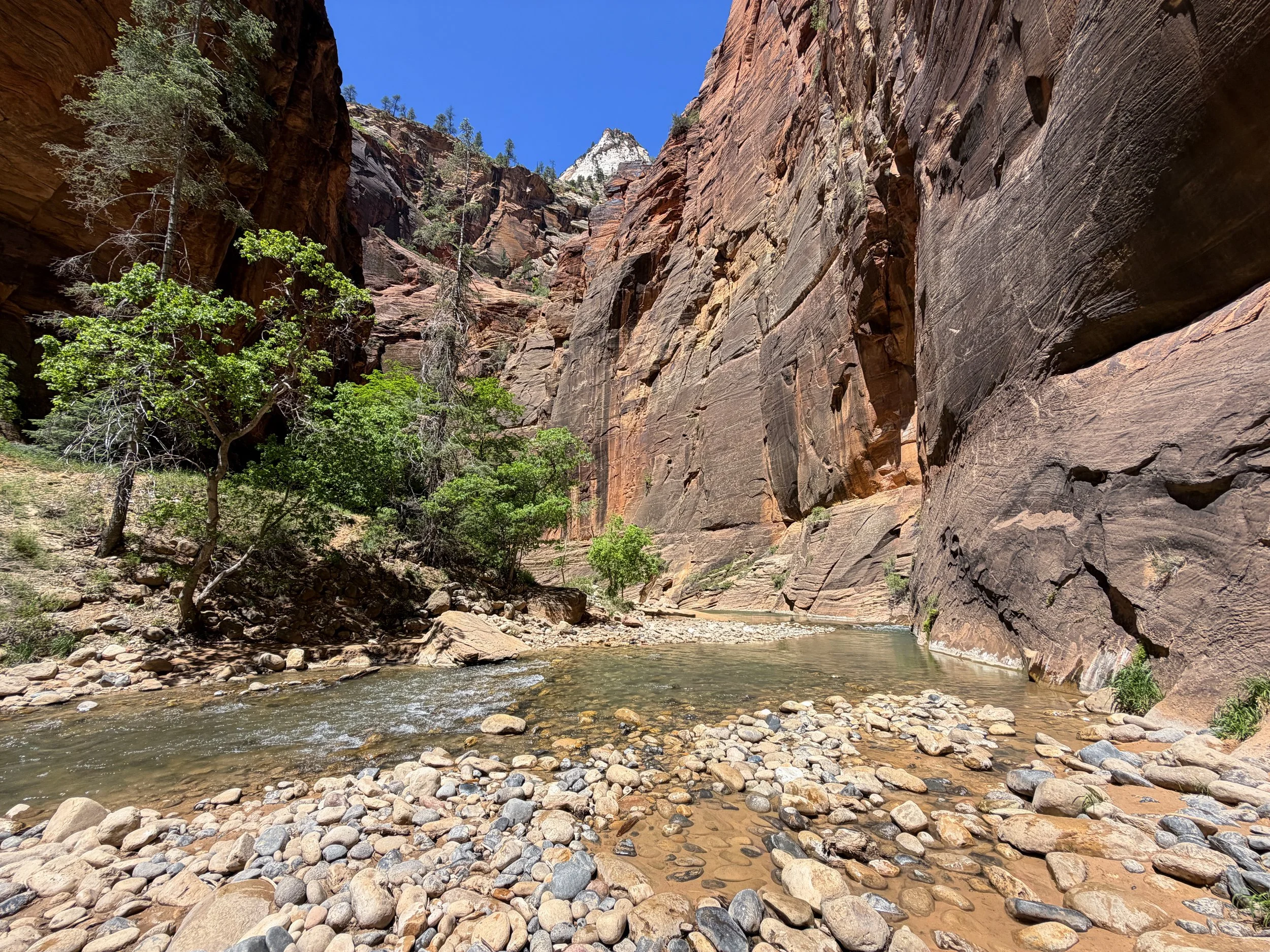 The Narrows Trail Zion National Park Utah