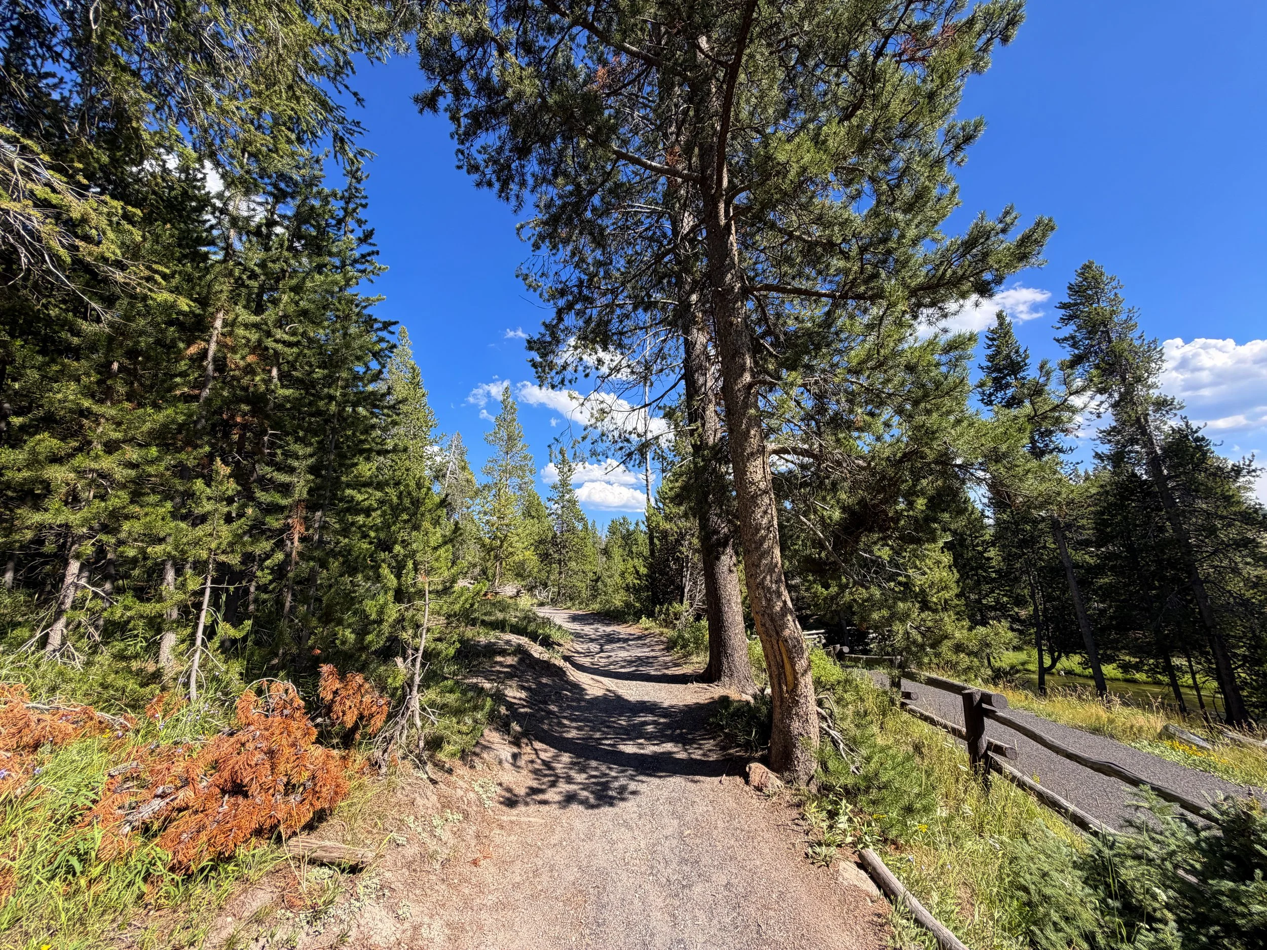 Observation Point Trail Yellowstone National Park Wyoming