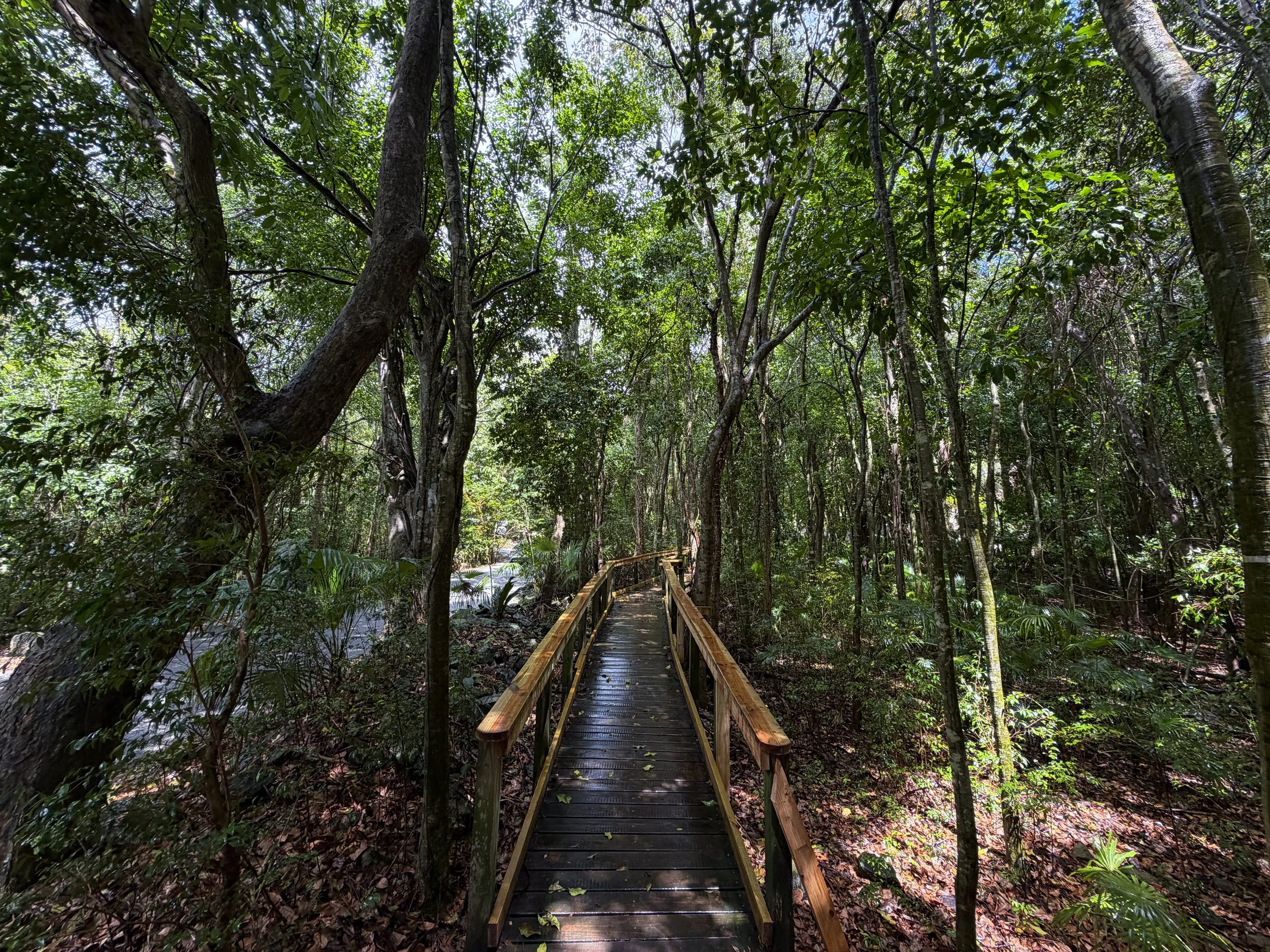 Cinnamon Bay Loop Trail Virgin Islands National Park