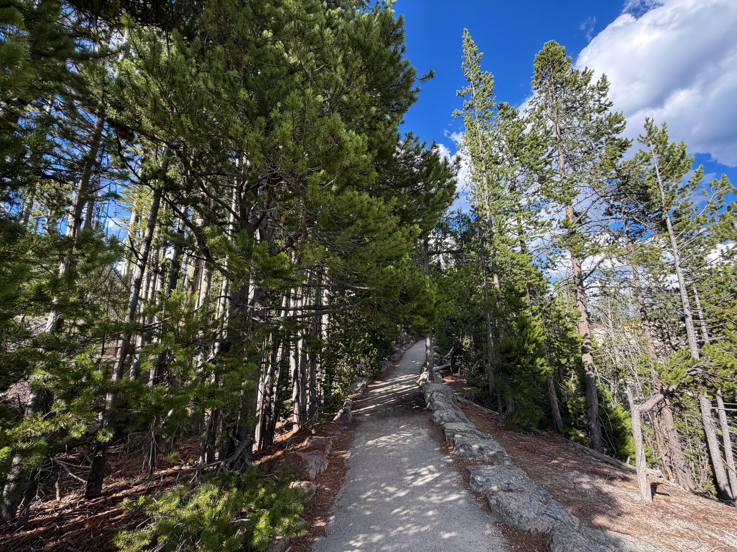 North Rim Hike Yellowstone National Park Wyoming