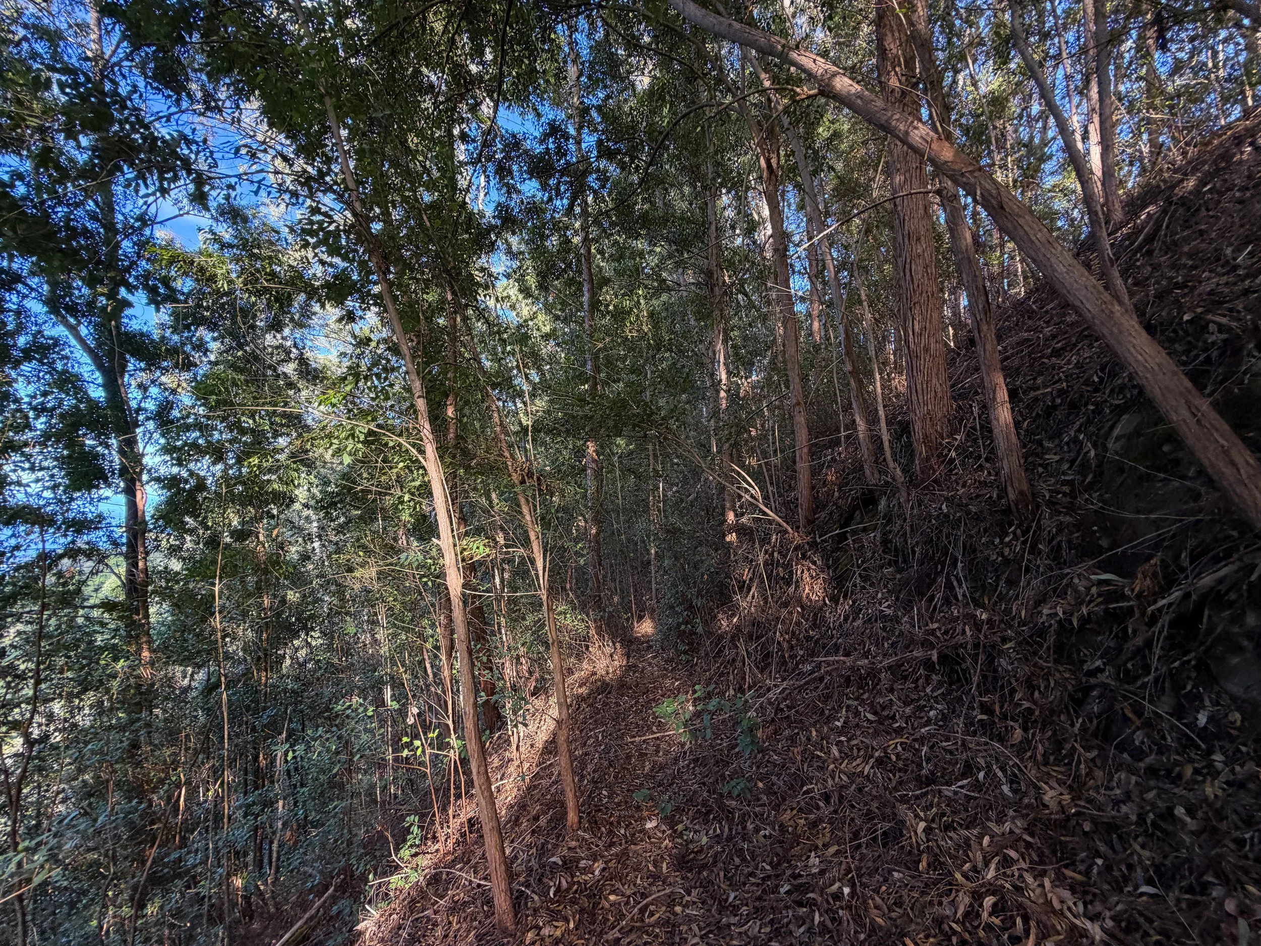 Mokuleia Trail Peacock Flats Oahu Hawaii