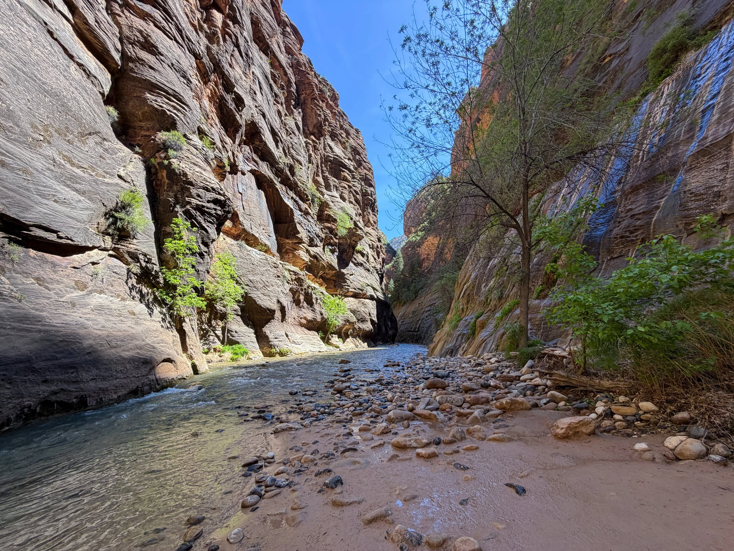 Narrows Hike Zion National Park Utah