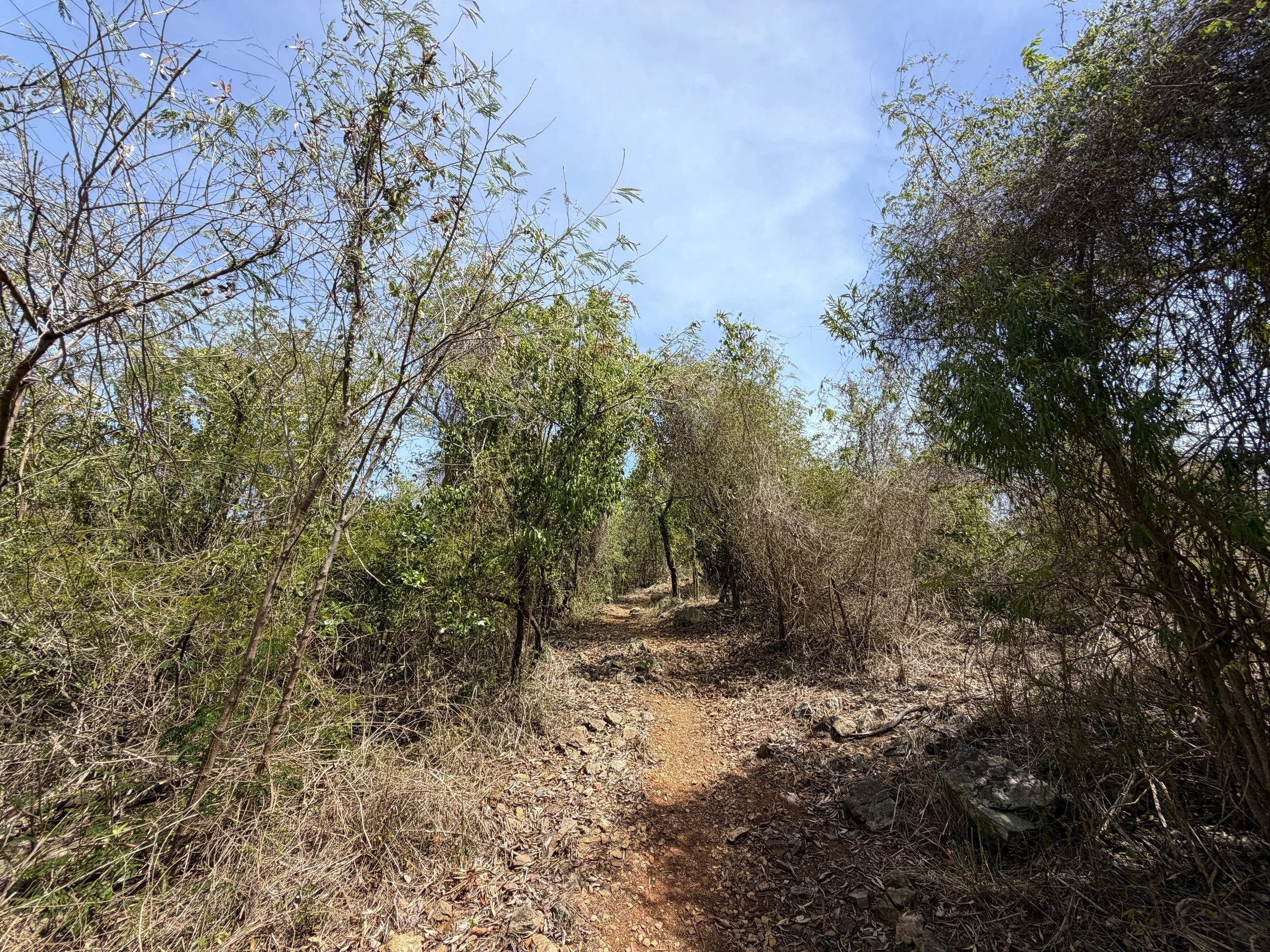 Yawzi Point Trail Virgin Islands National Park