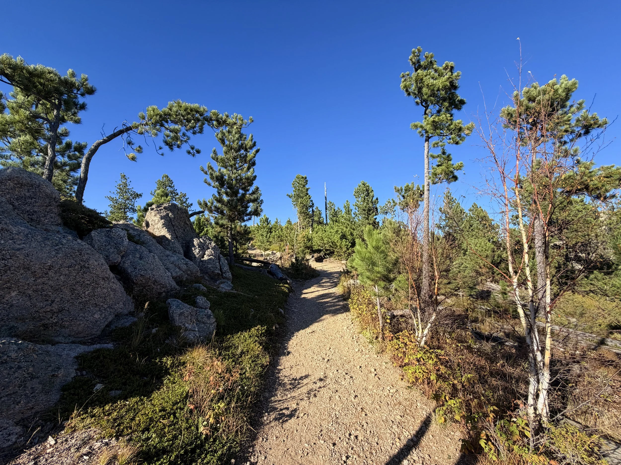 Little Devils Tower Hike Custer State Park Black Hills South Dakota